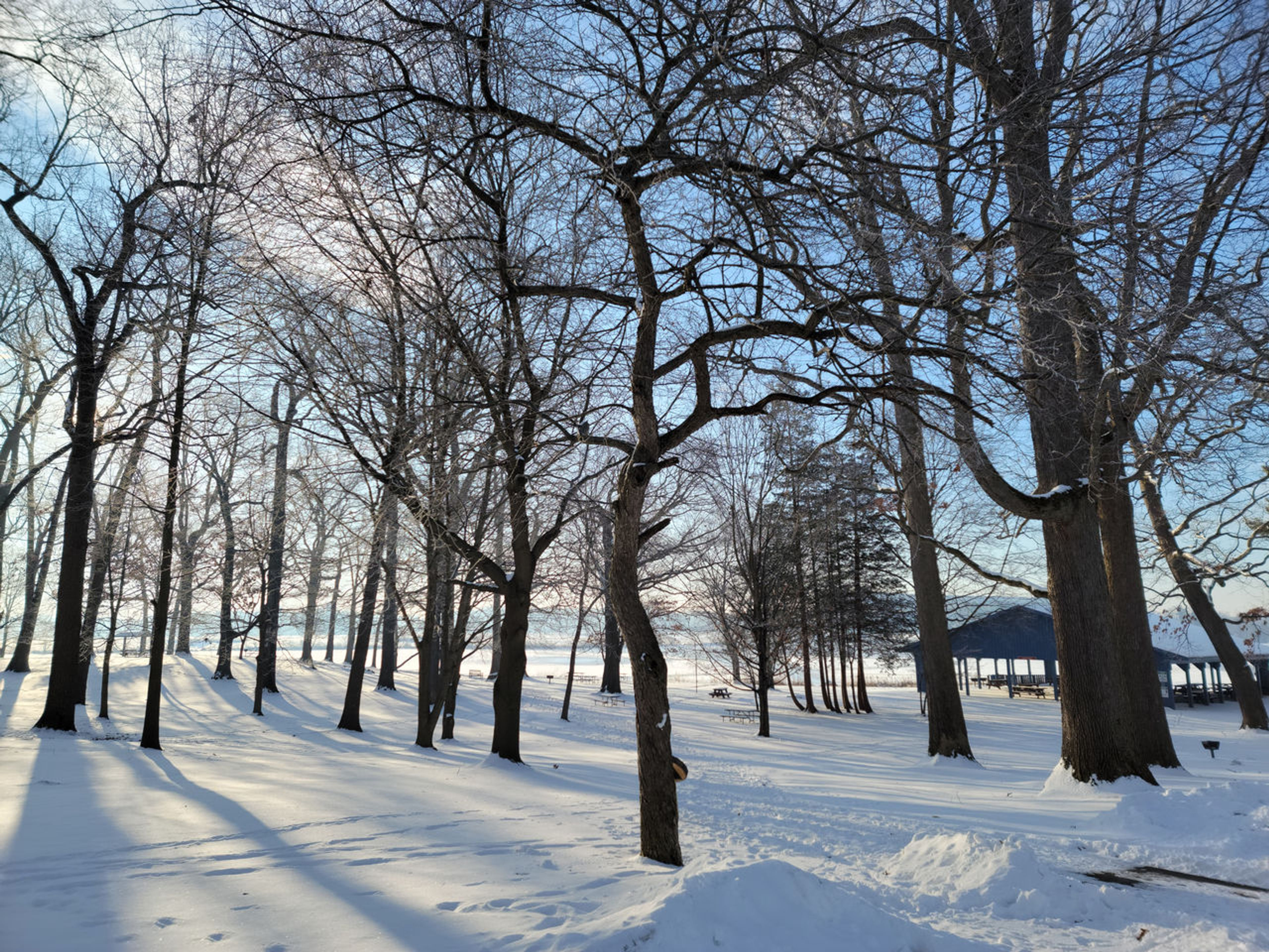 A snowy field with trees and a shelter house in the distance at Wingfoot Lake State Park