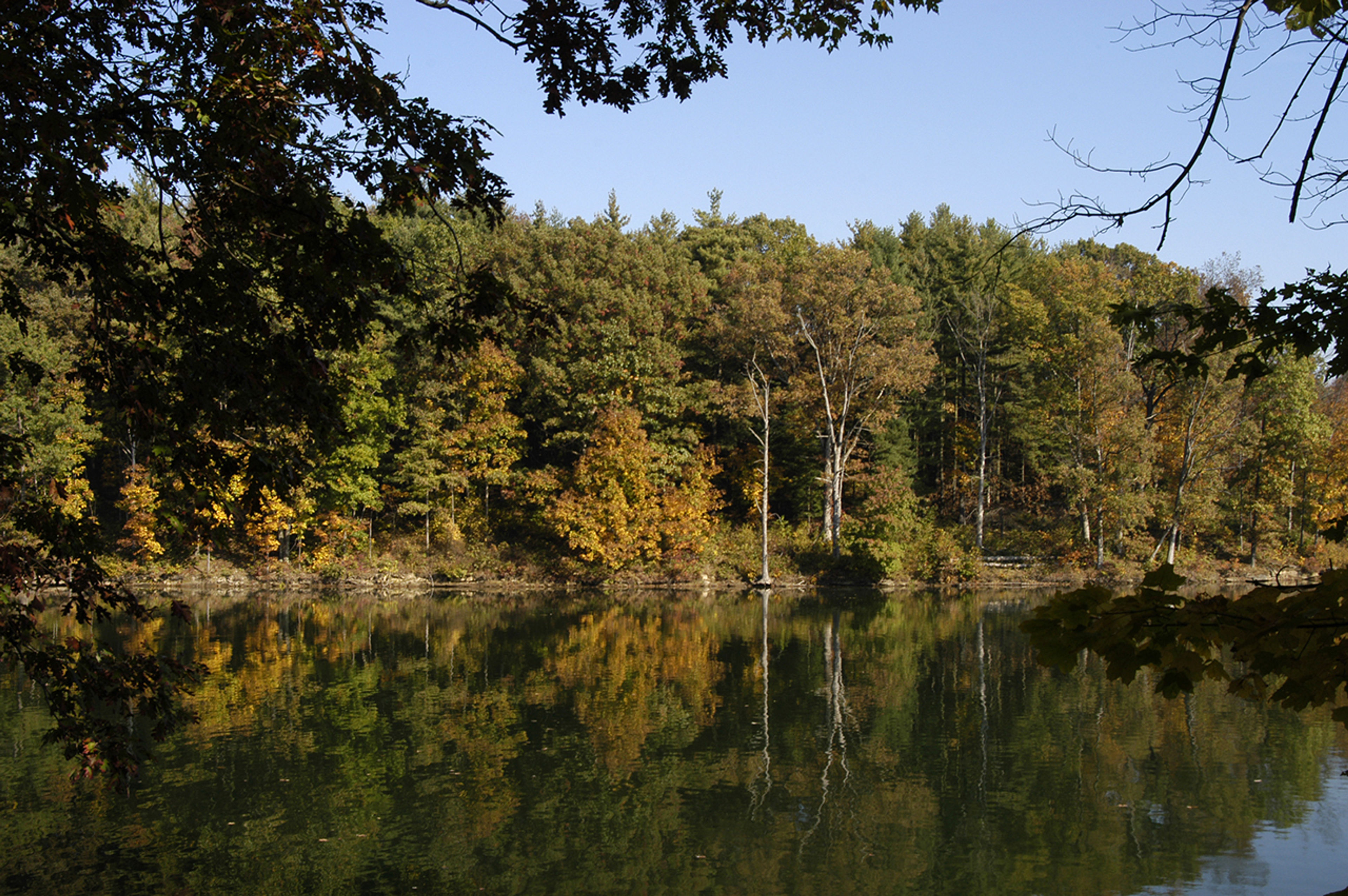 A lake surrounded by trees at Wolf Run State Park