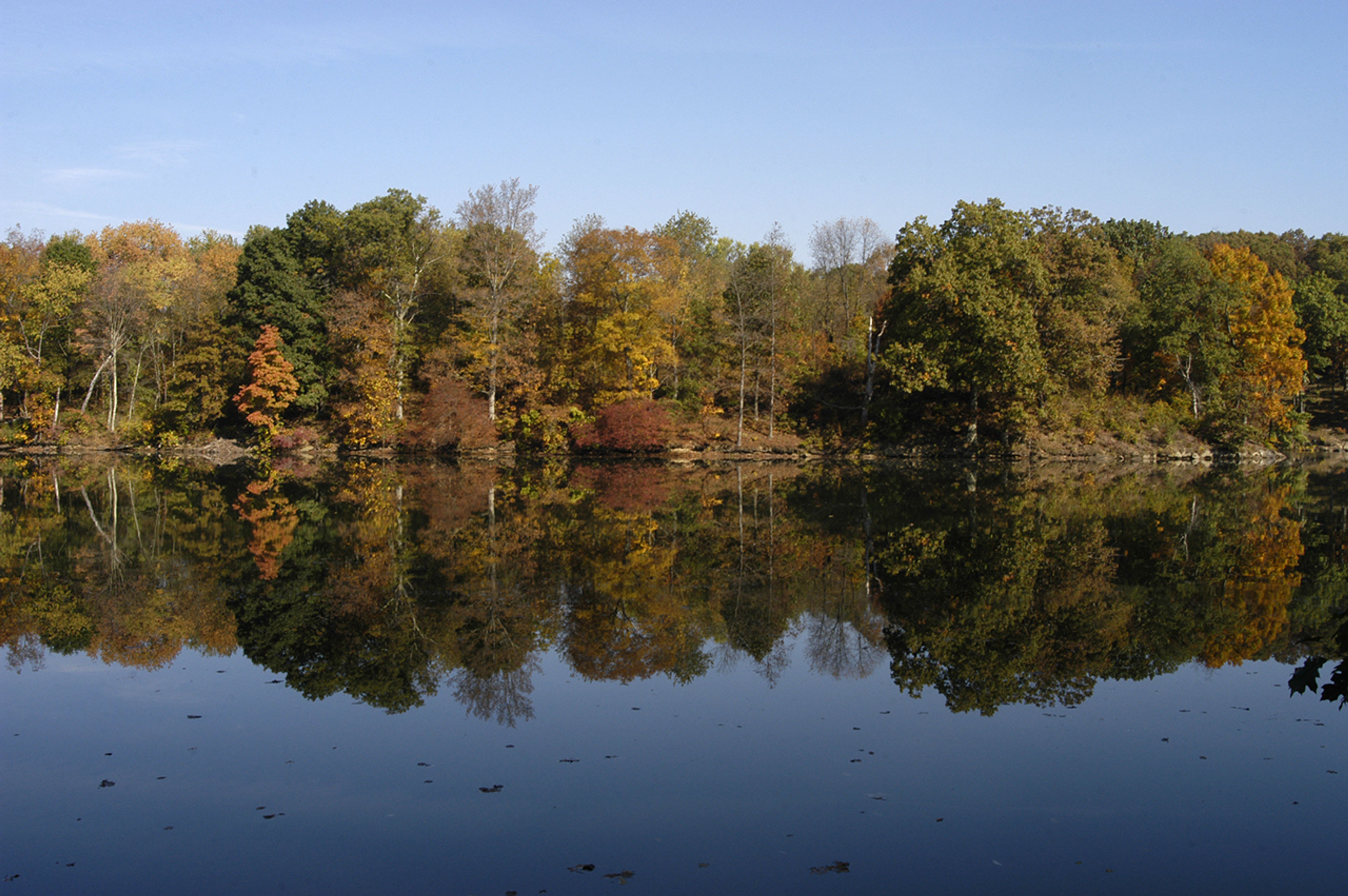 A body of water with trees and a blue sky at Wolf Run State Park