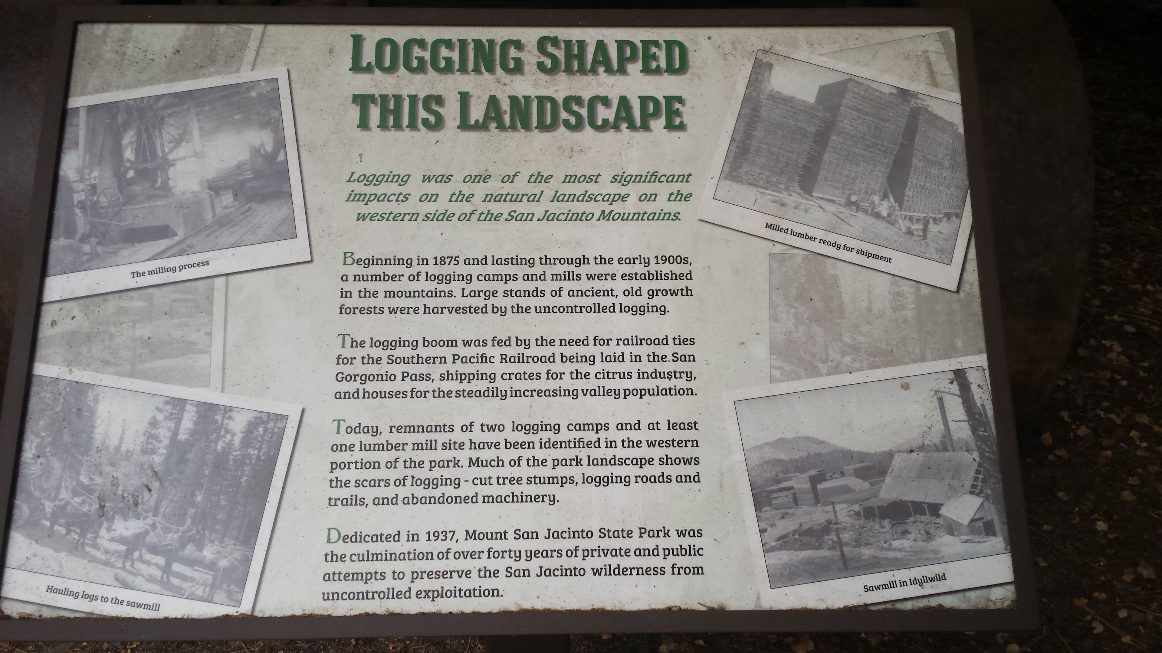 Idyllwild_logging_sign.jpg