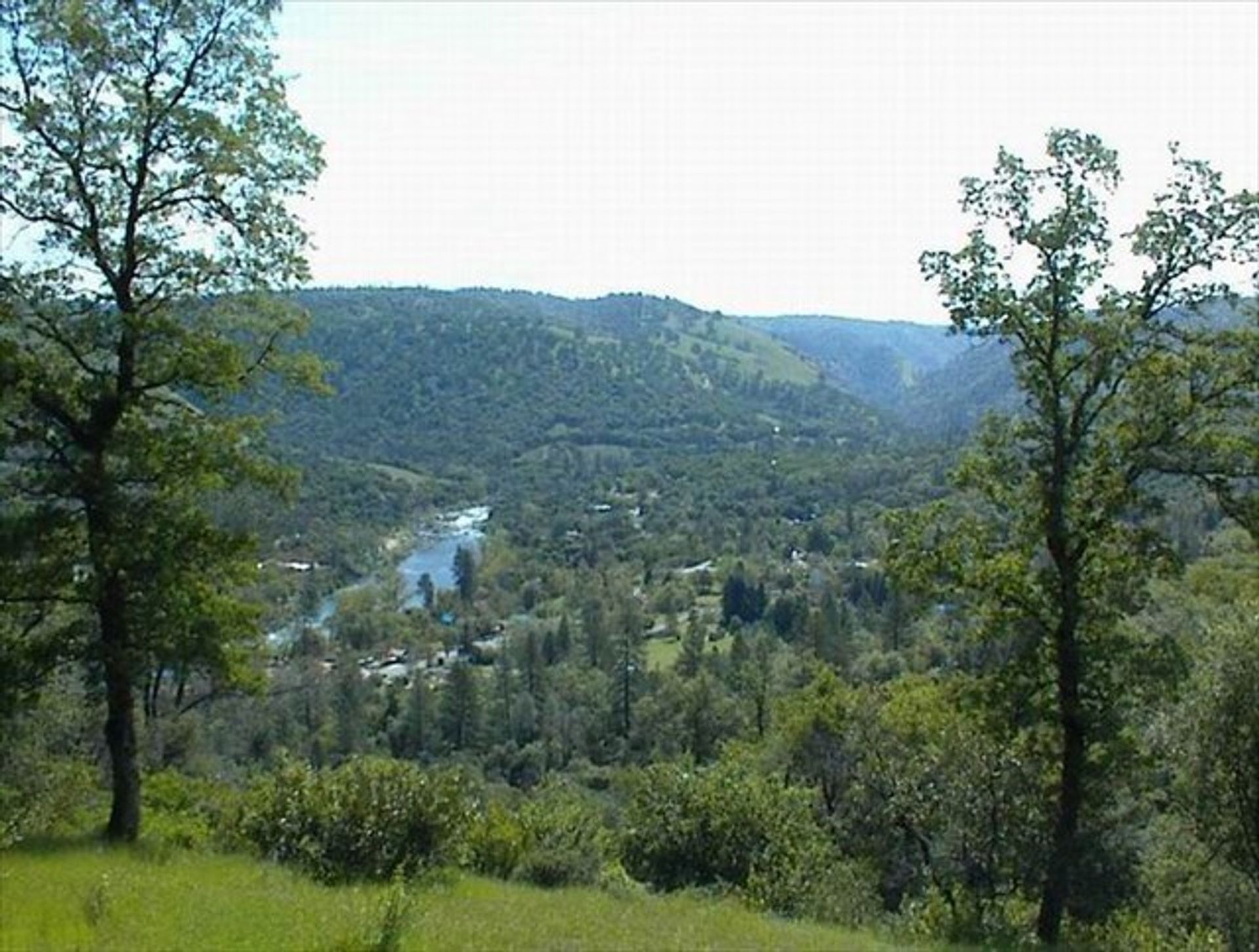 Spring on the Monroe Ridge Trail looking at the Coloma Valley