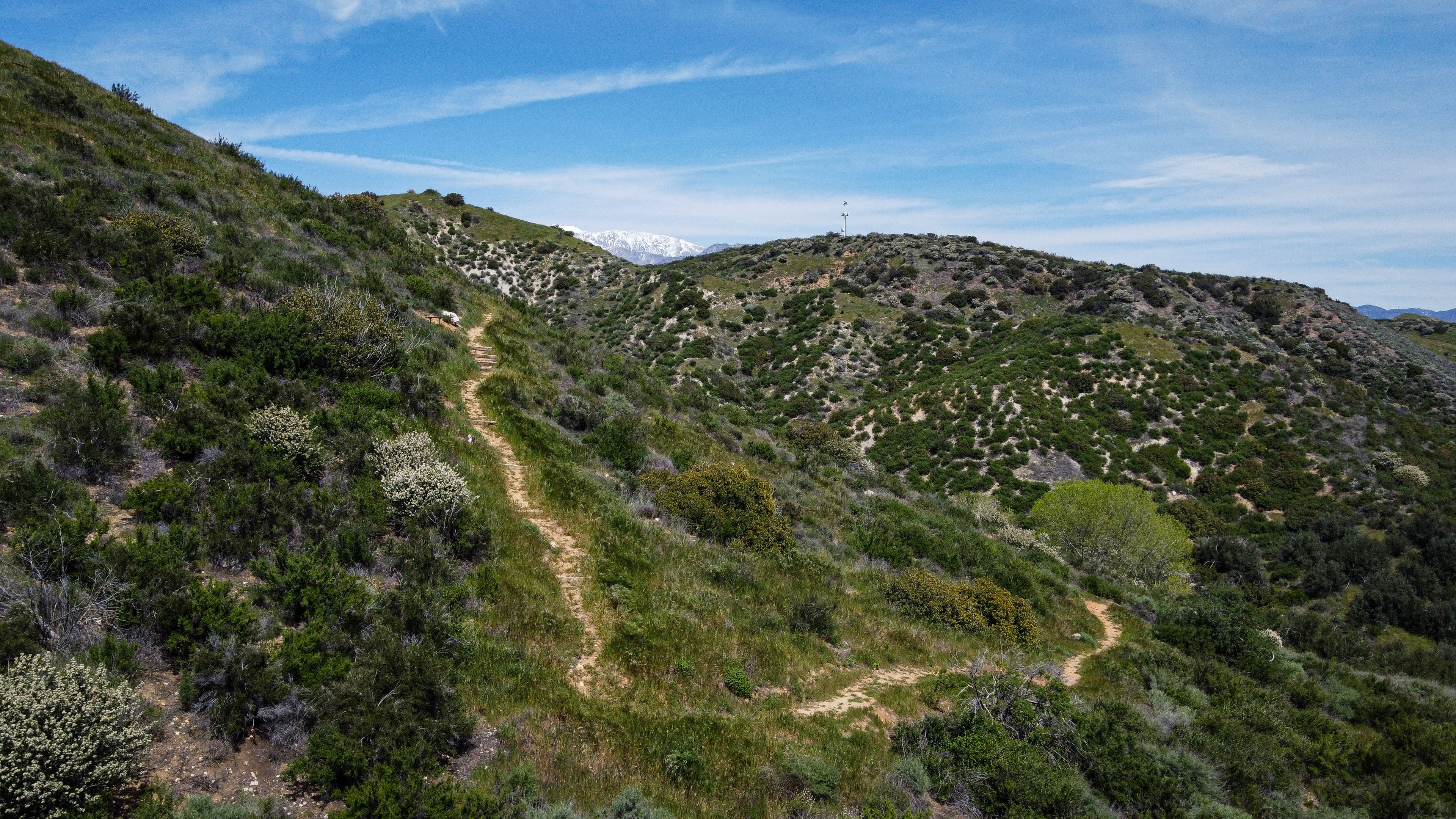 Hiking Trails Behind Gilman Ranch