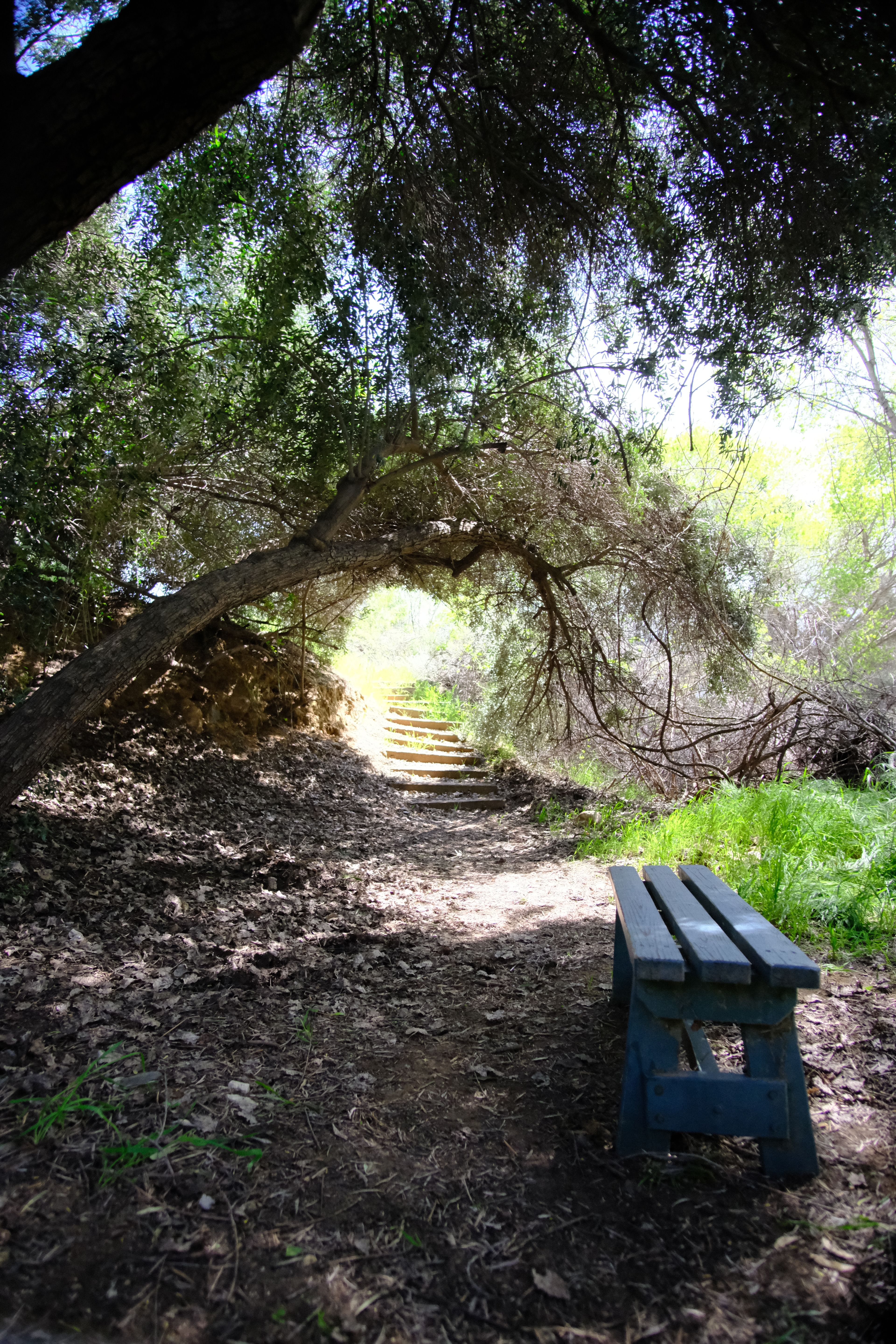 Secluded Rest Stop off the Hiking Trail