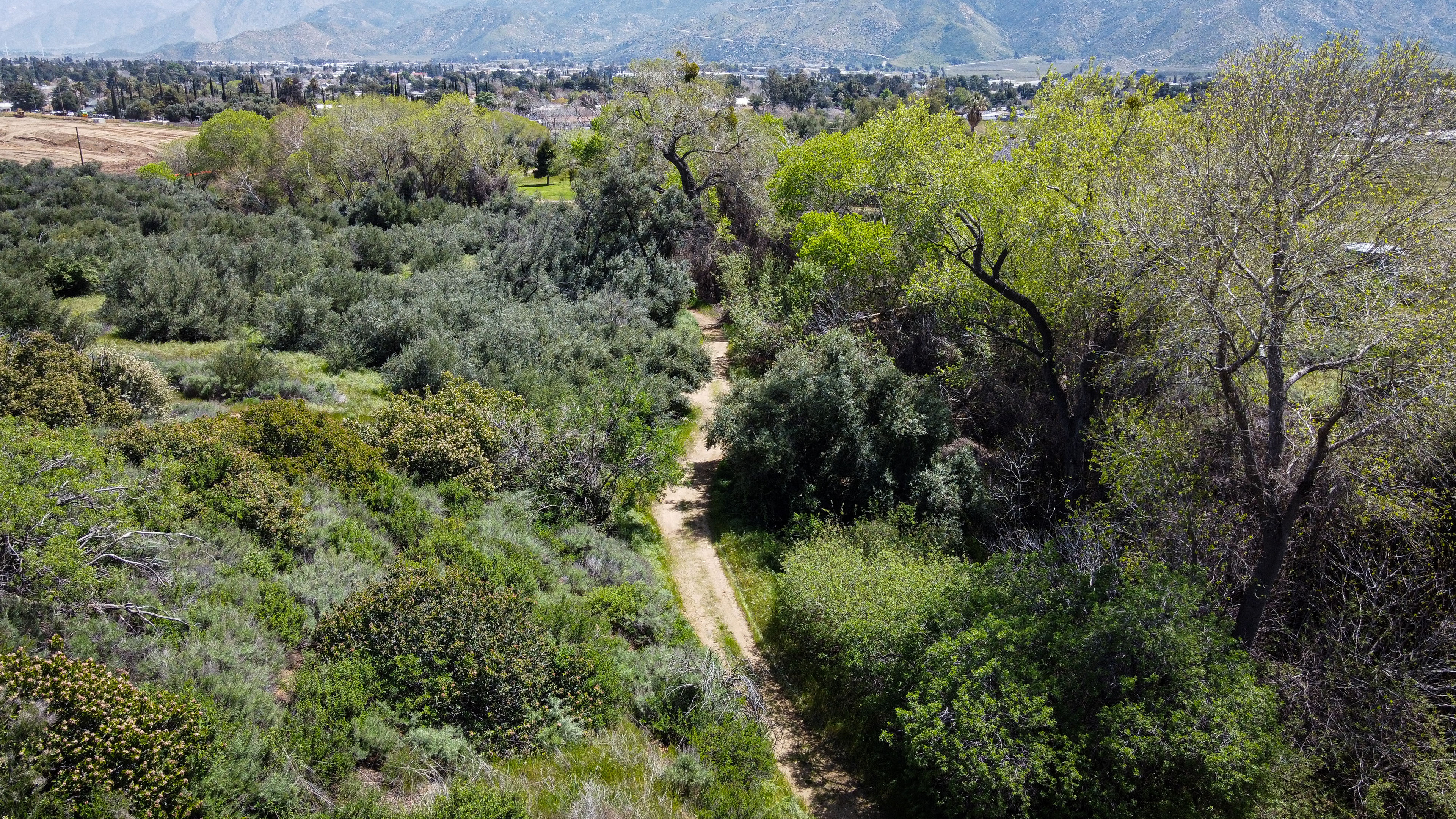 Aerial View of Hiking Trail