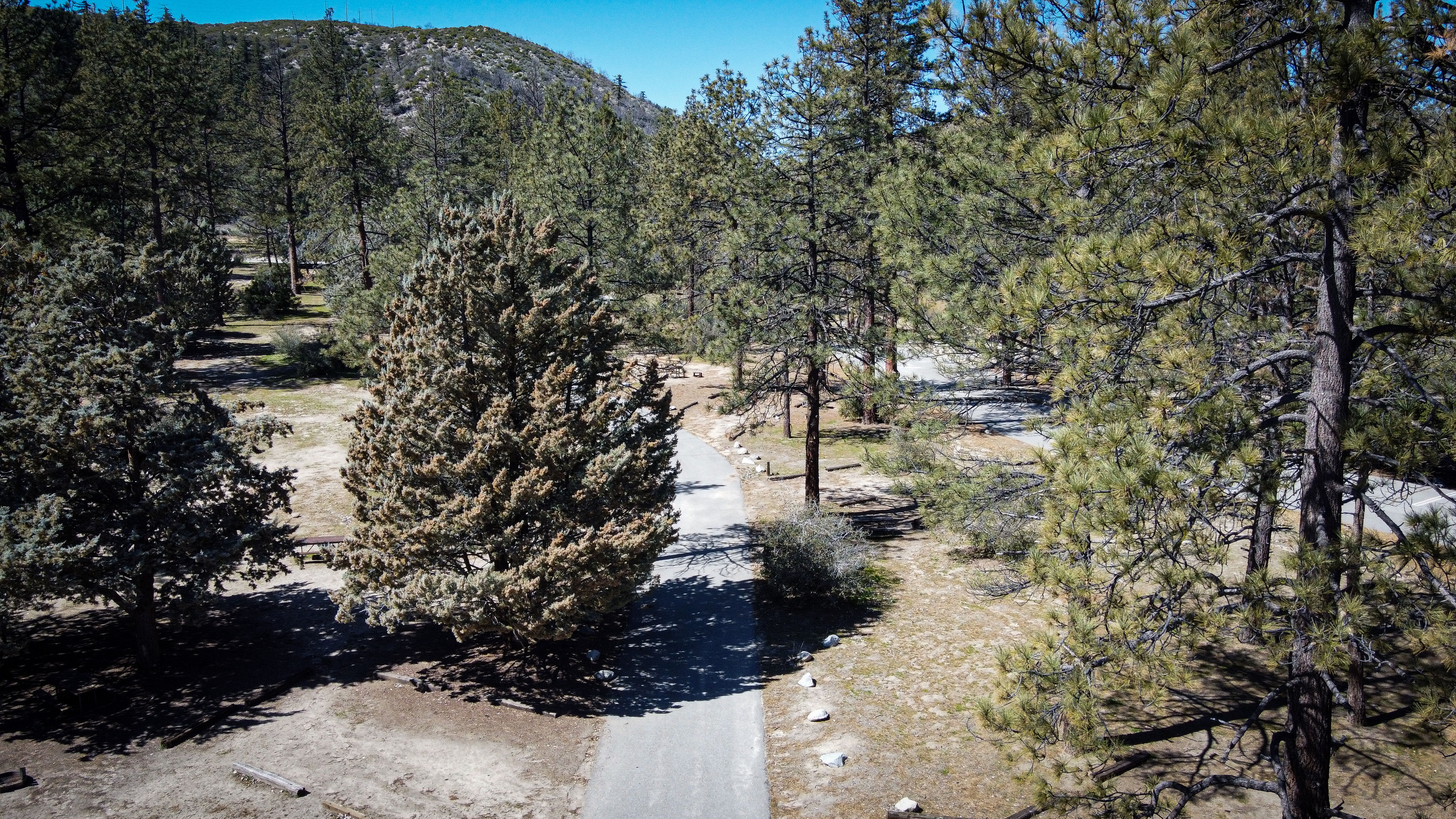 Aerial view of Campsites