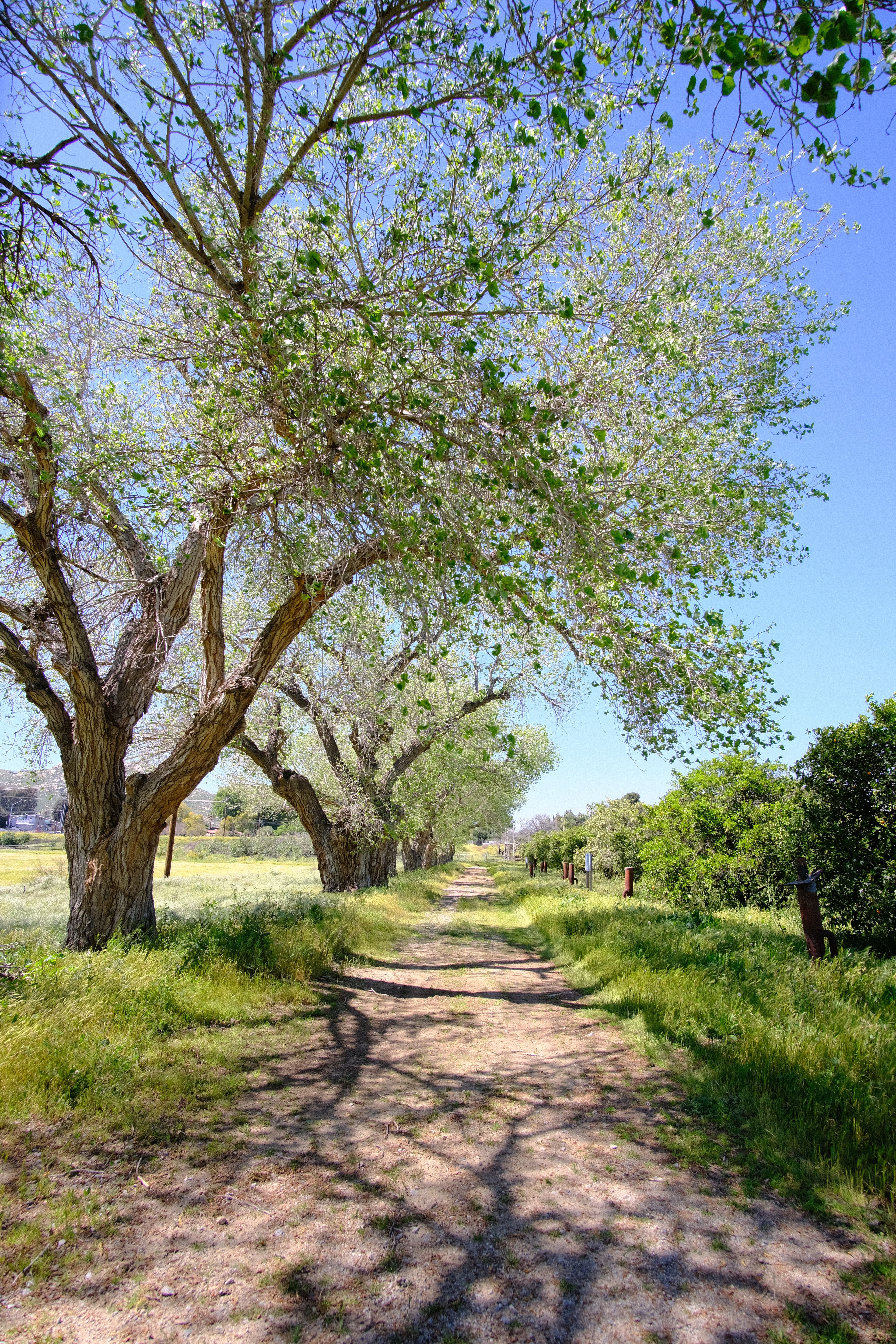 Perimeter Walking Trail