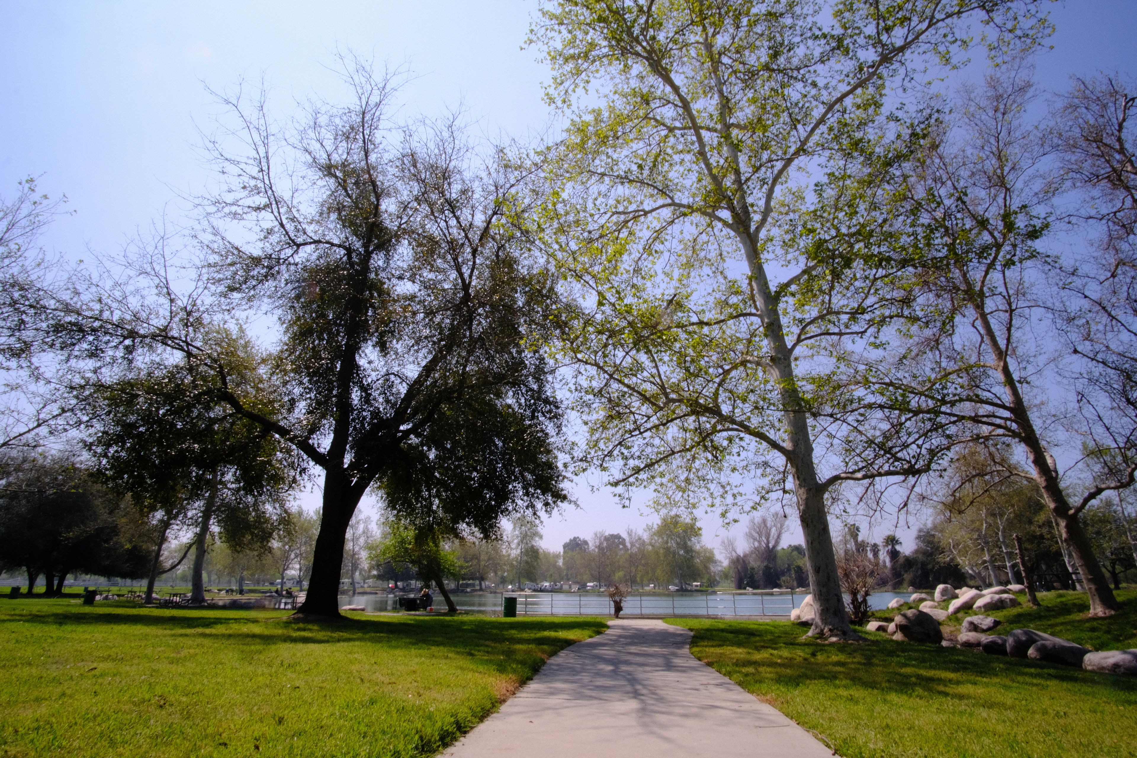 Pathway Leading to Lake Fishing