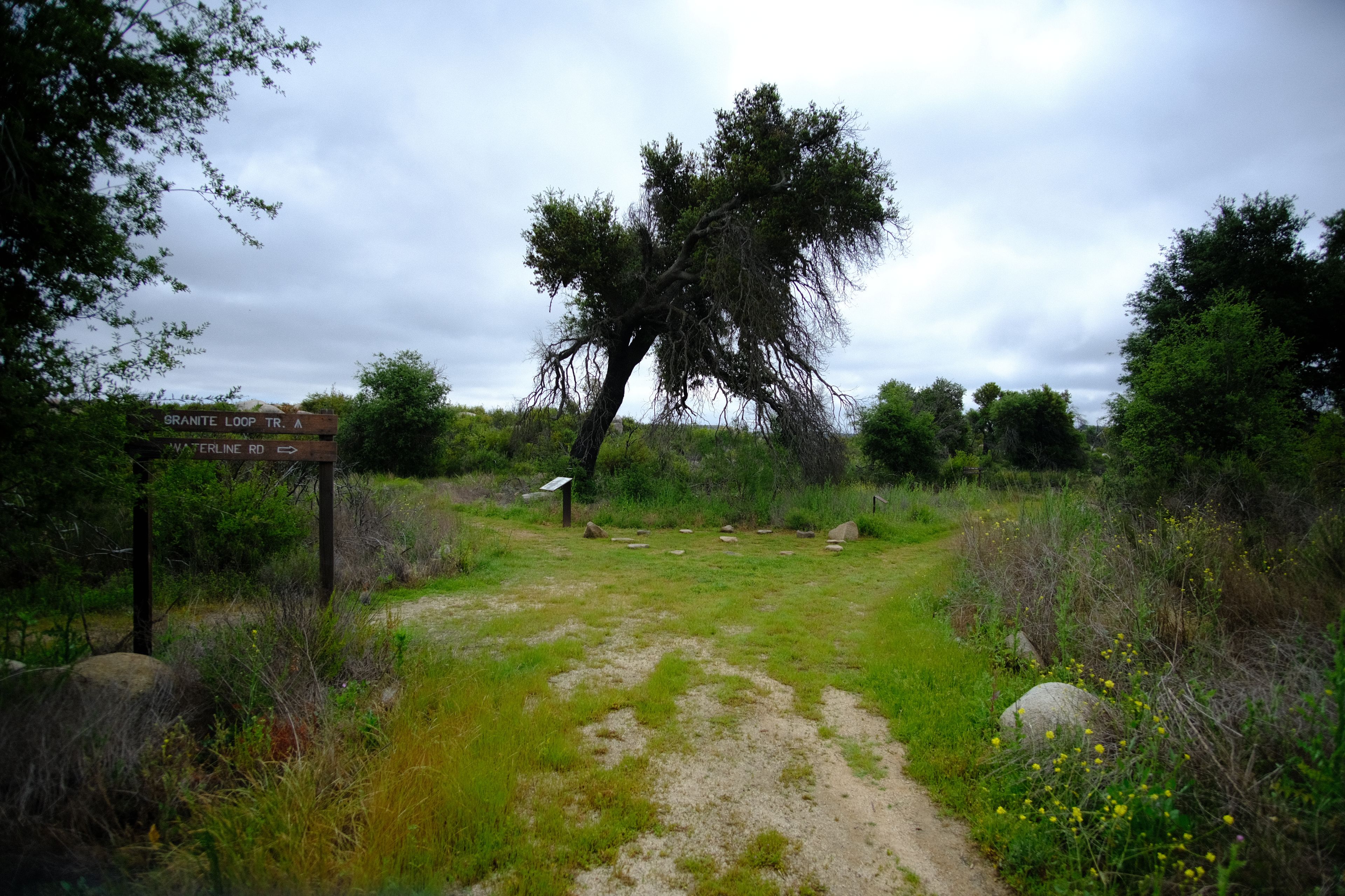 Two Trail Heads