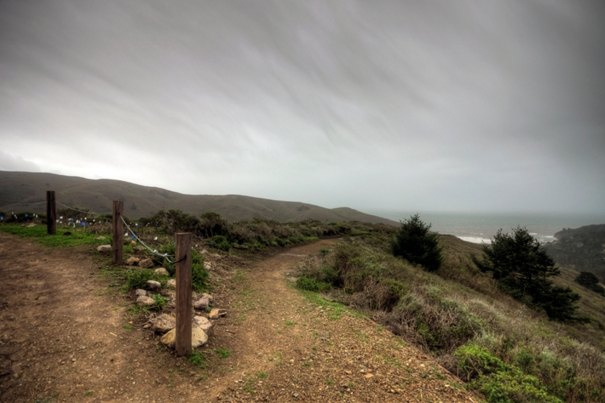 A nice bend in the Dias Ridge Trail. 