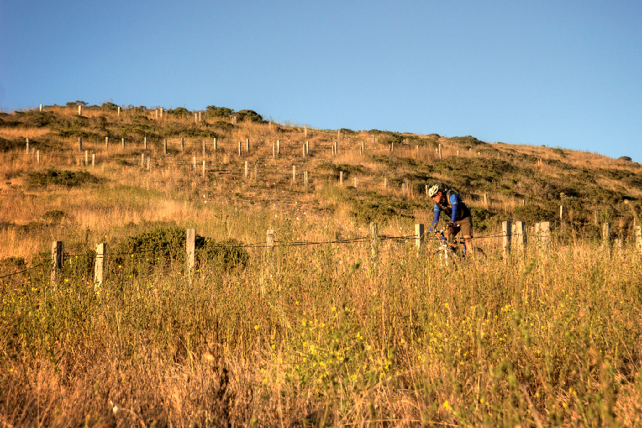 Mountain biker on one of the mellow switchbacks on the Dias Ridge Trail.