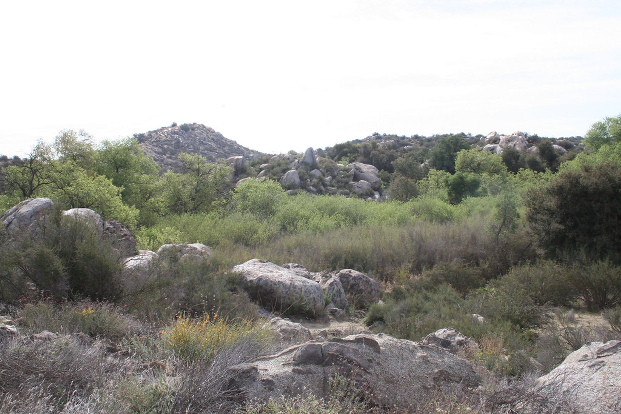 Surrounding Rocky Hills