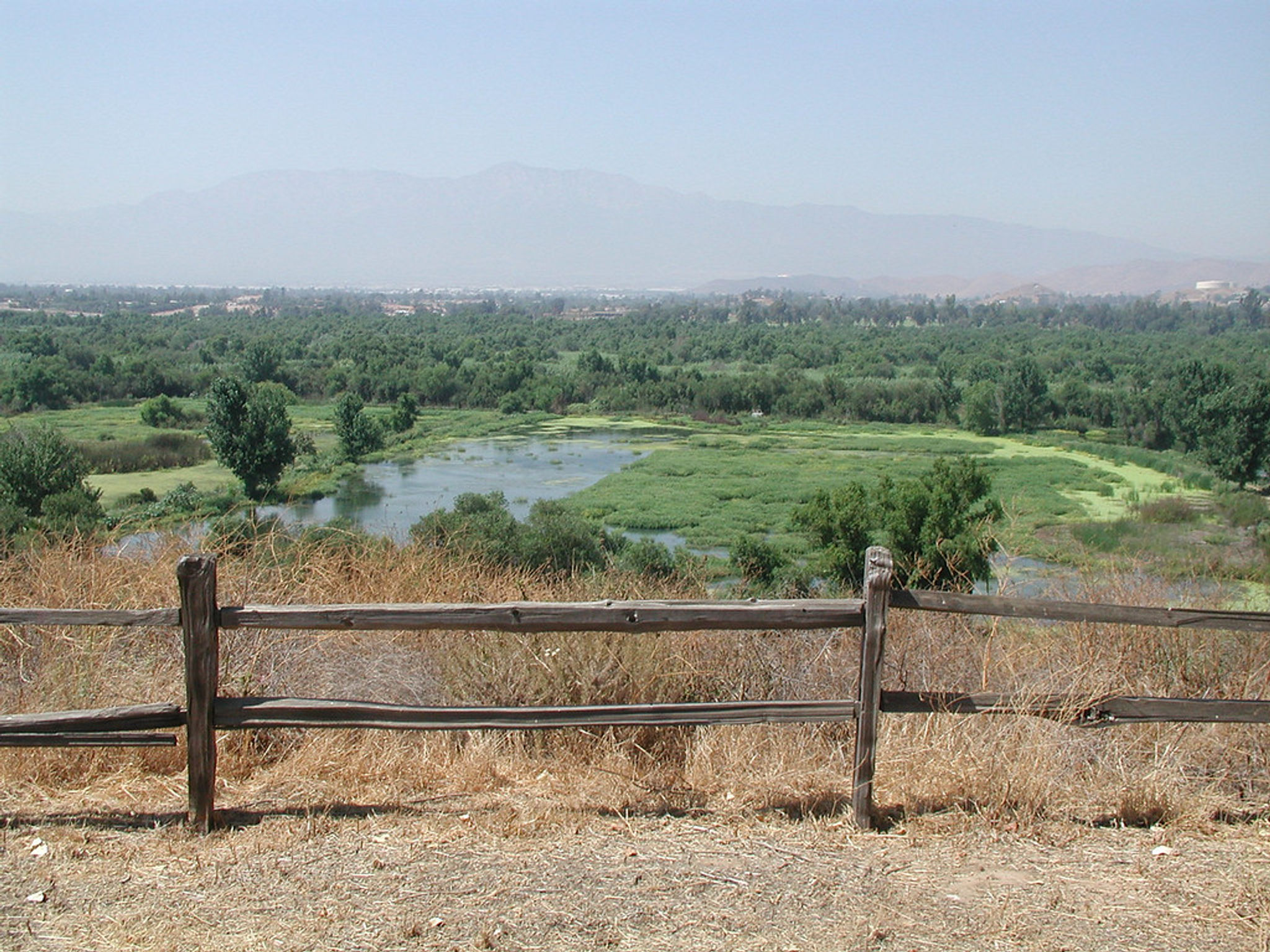 Wildlife Area from Above