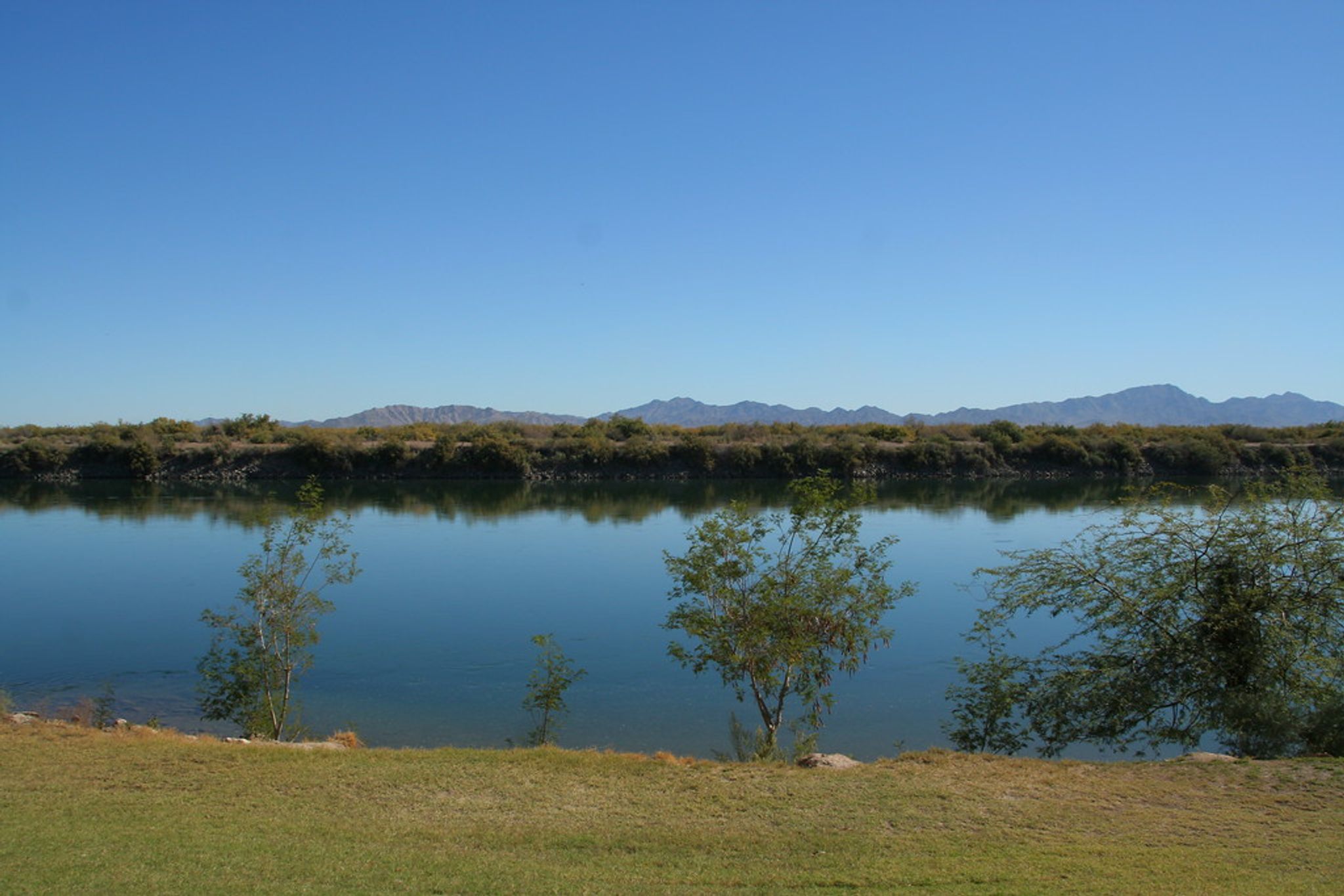 Colorado River View