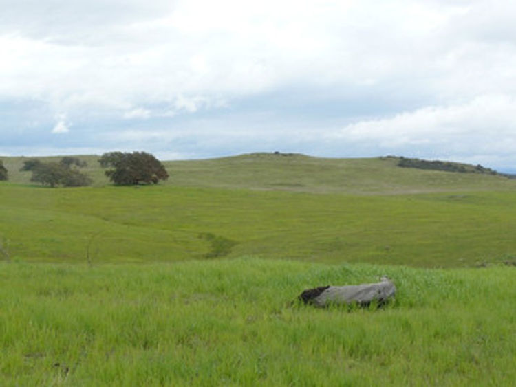 Sylvan Meadows and Rolling Hills