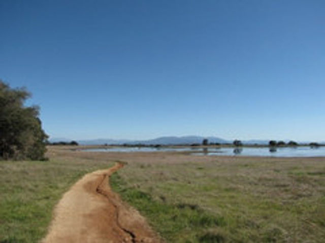 Trail and distant Vernal Pools