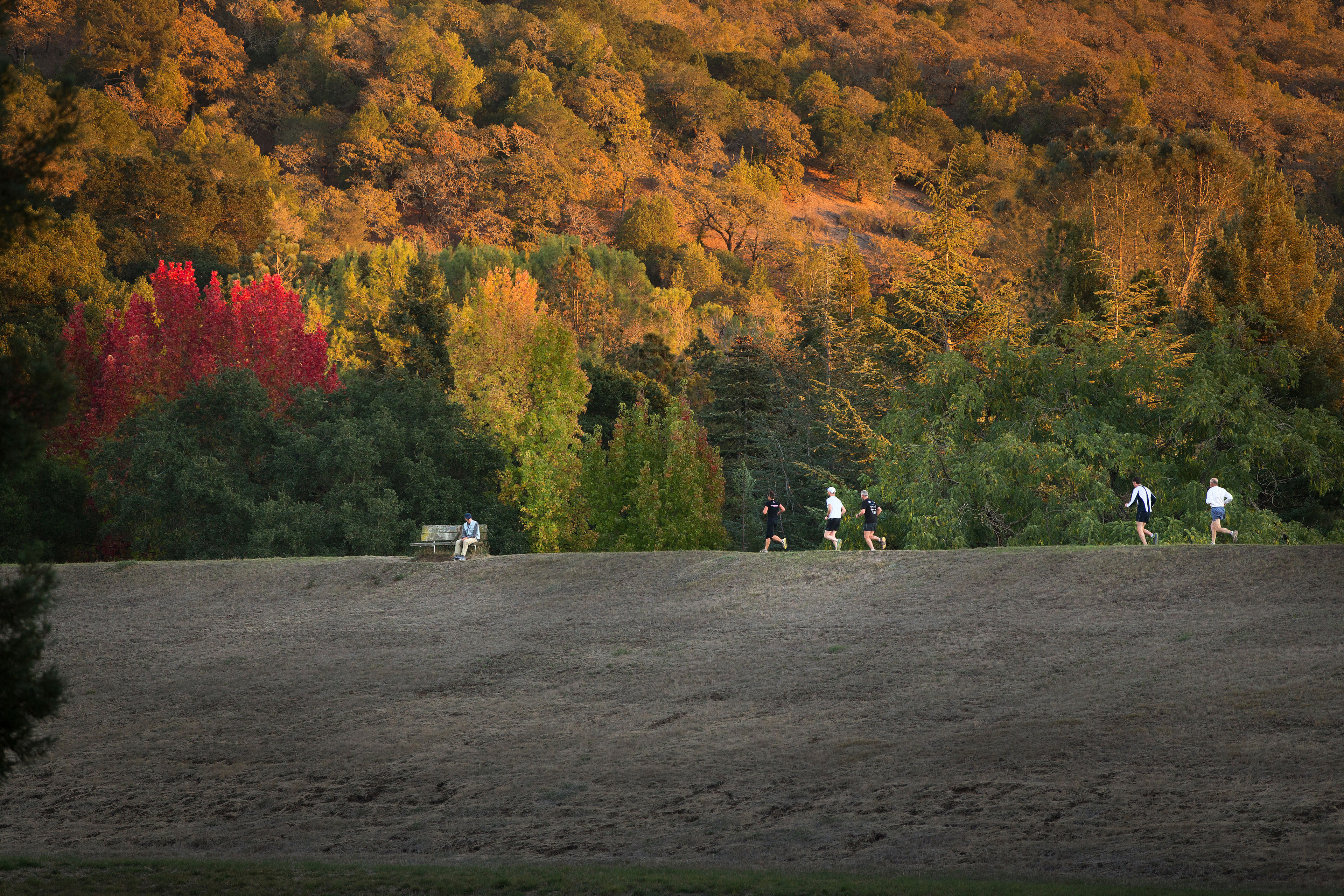 Spring_Lake_runners_fall_foliage.jpg