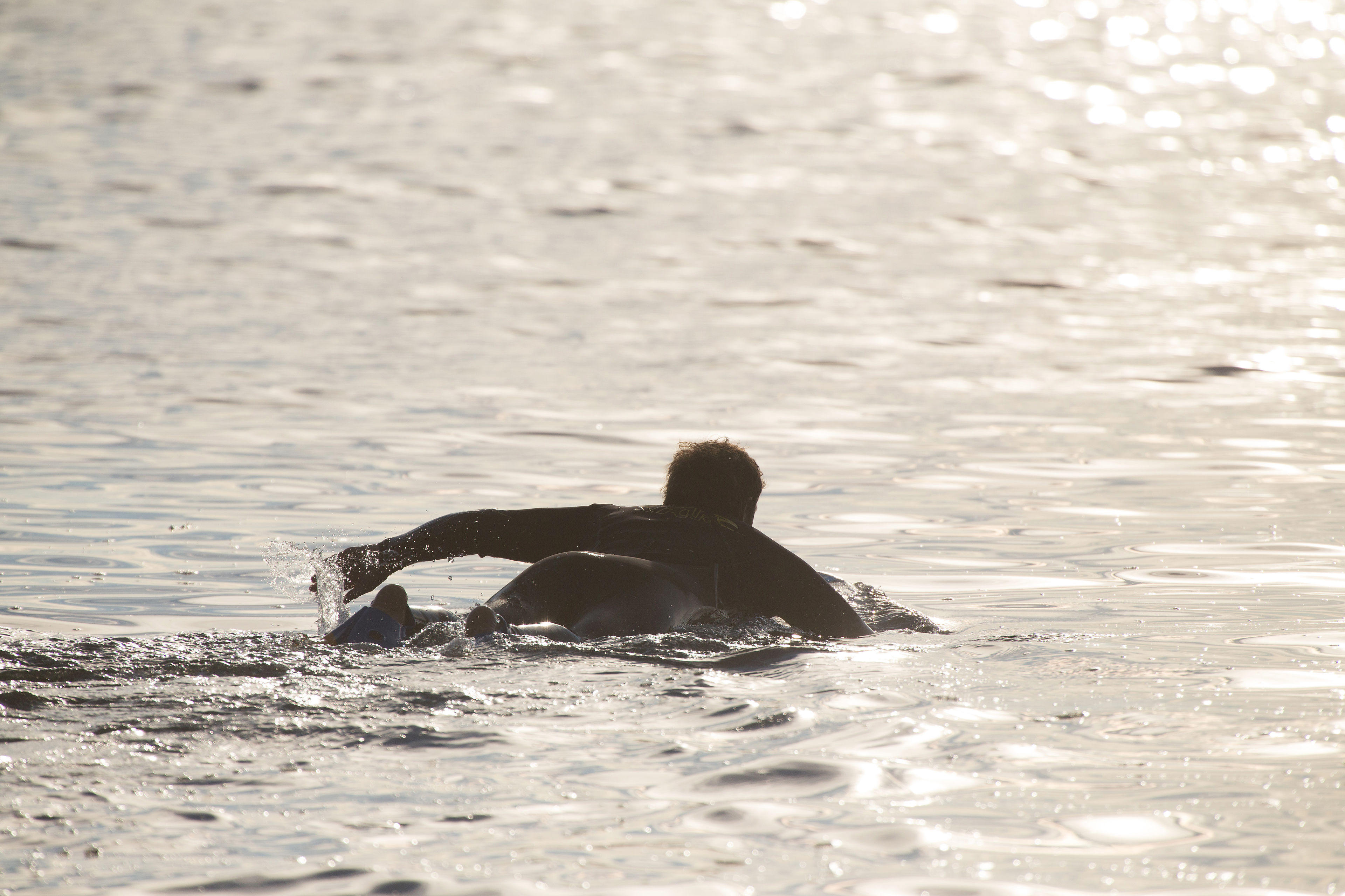 Stillwater_Cove_abalone_diver.jpg