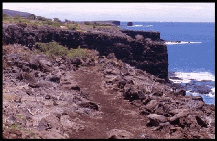 Ocean view along Hulopoe-Huawai Fishing Trail