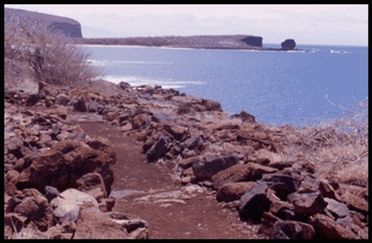 Ocean scenery at Hulopoe-Huawai Fishing Trail