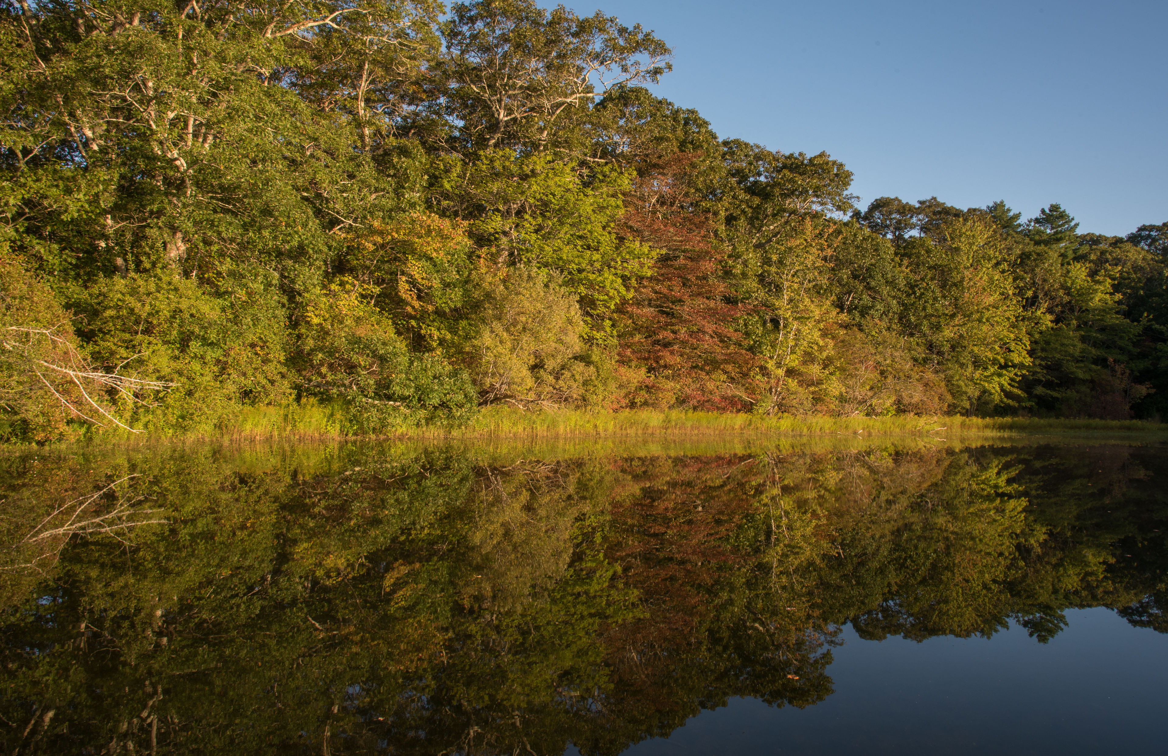 Autumnal Reflection on Manaquayak Trail