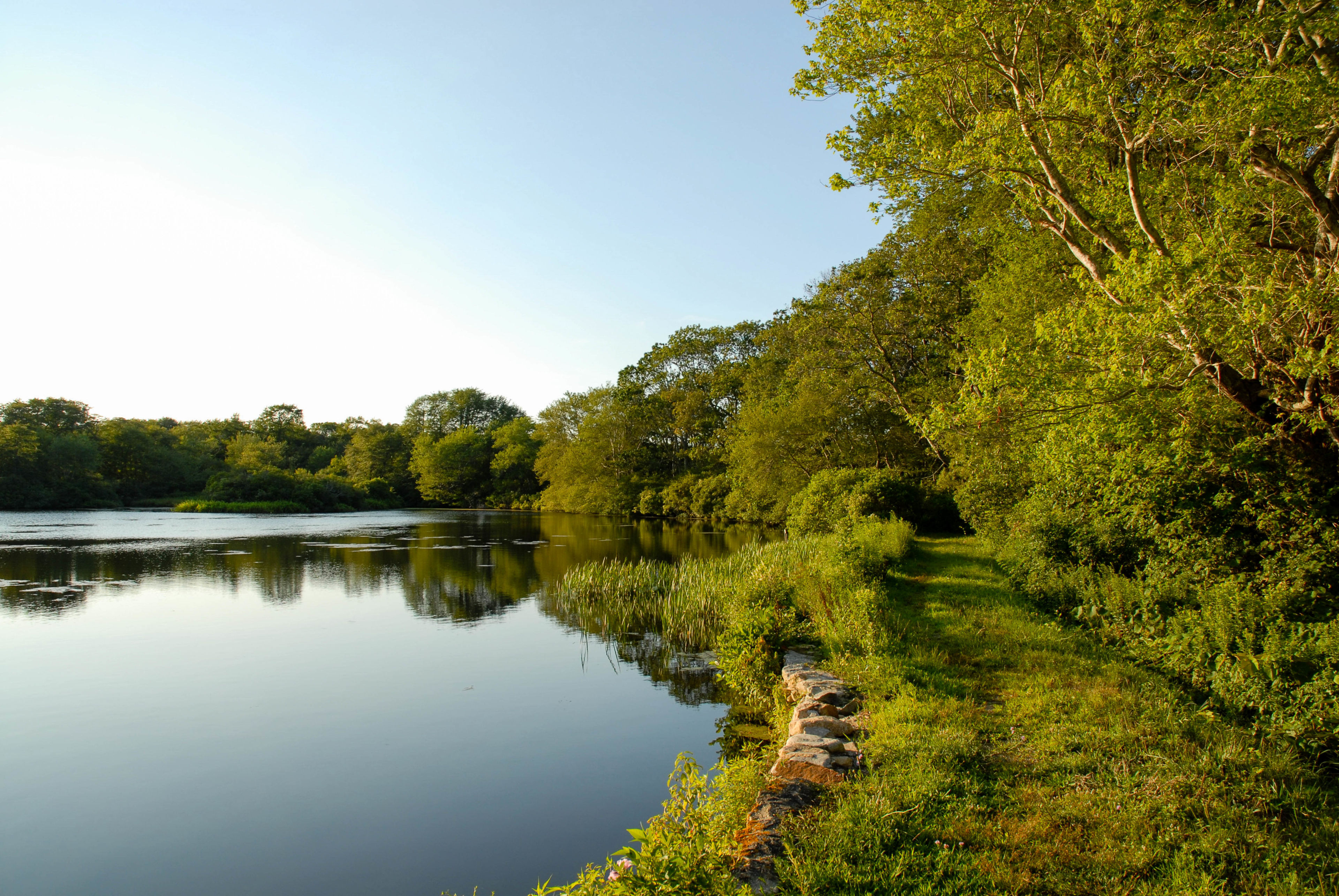 Edge of pond