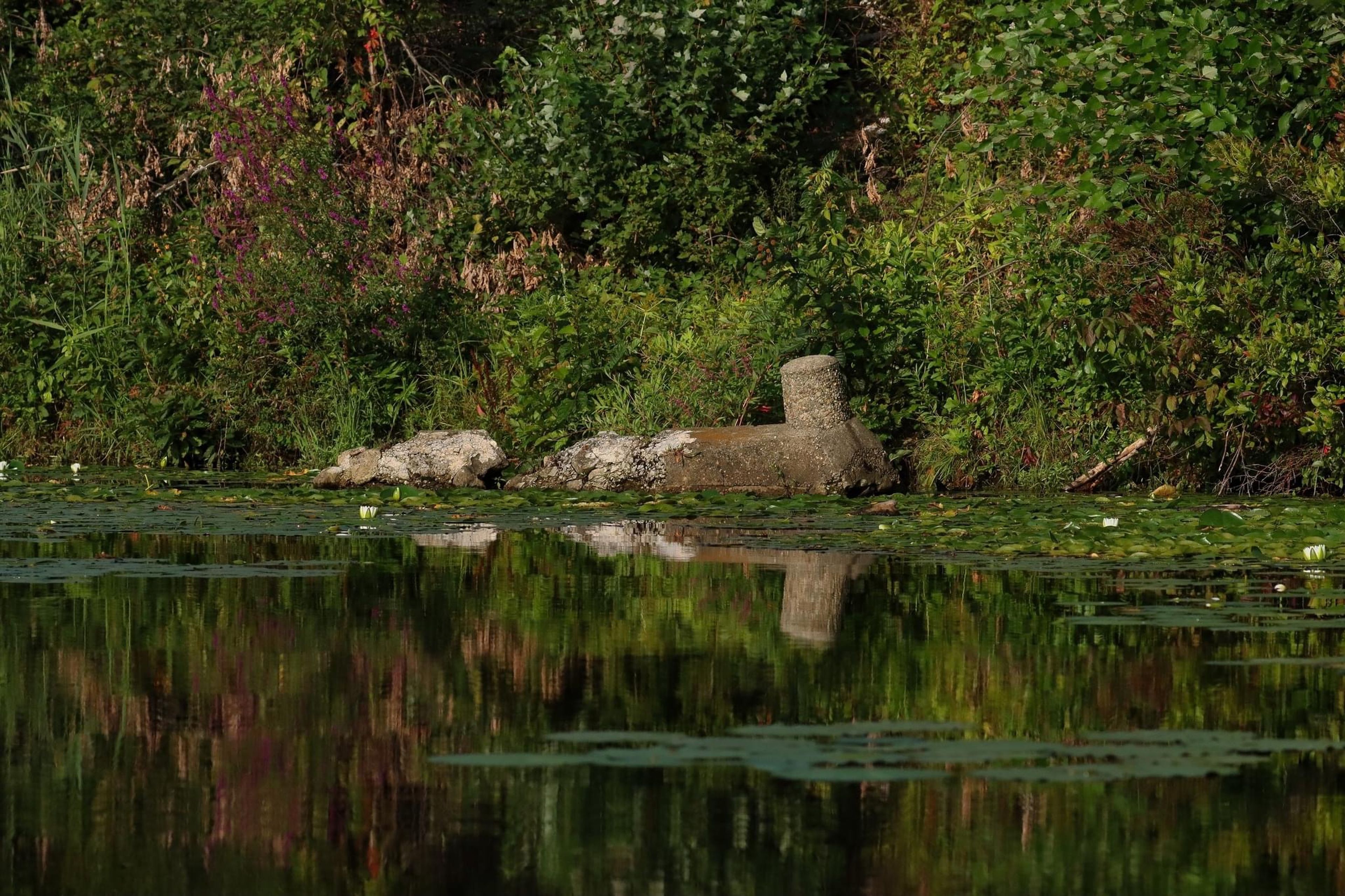 Mooring Buoy (historic White Lines stream boats)