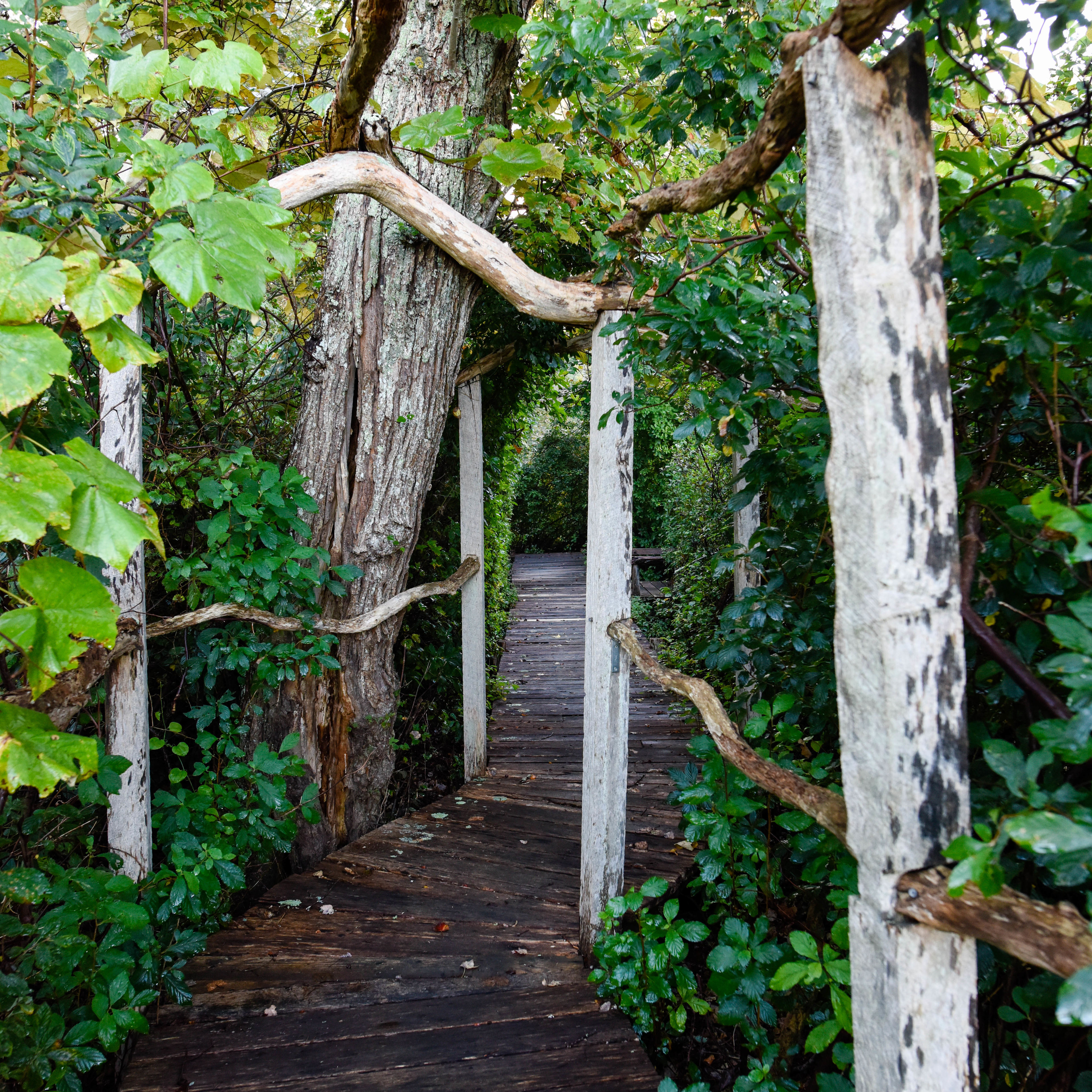 boardwalk