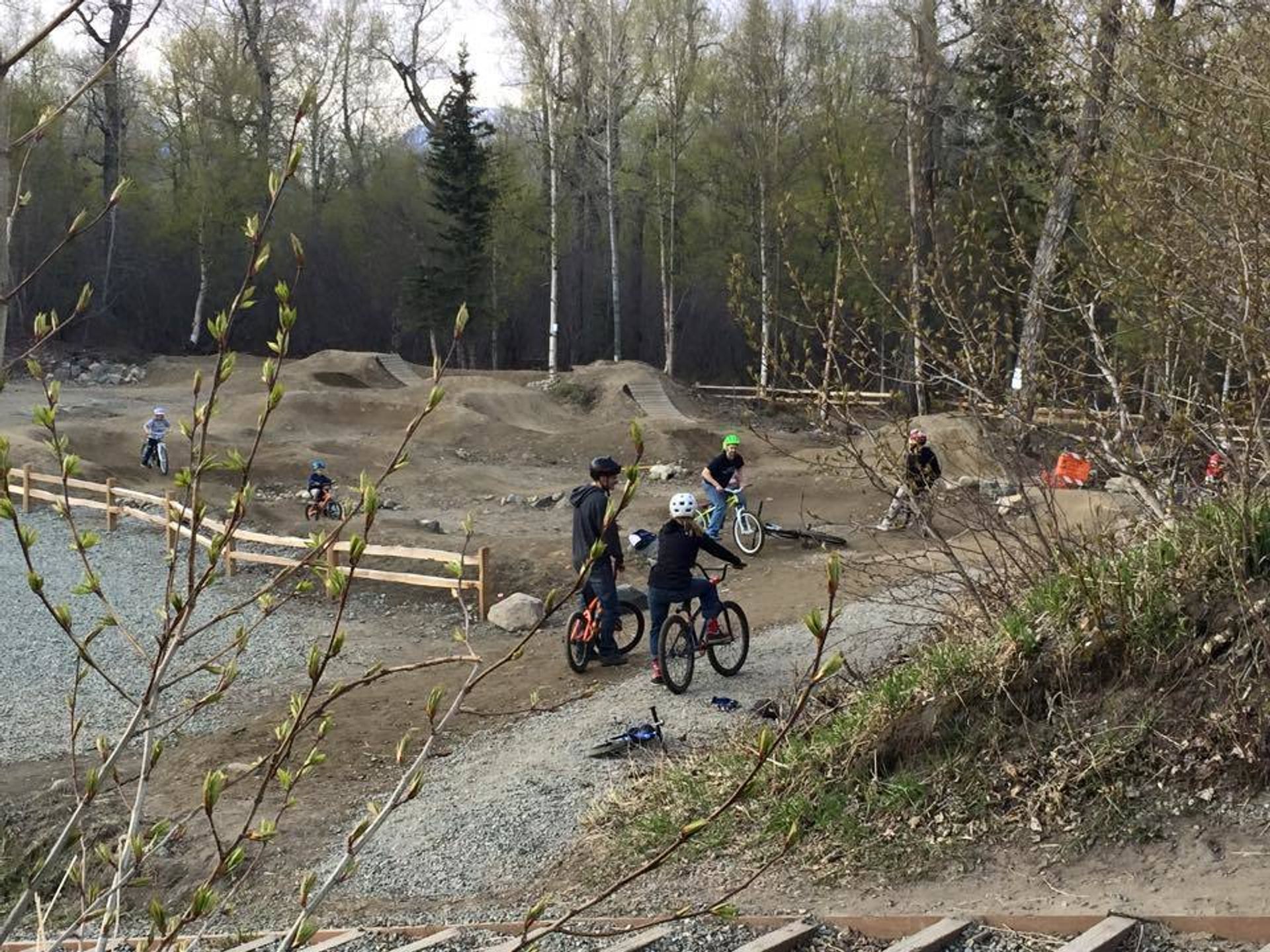 Palmer Bike Park