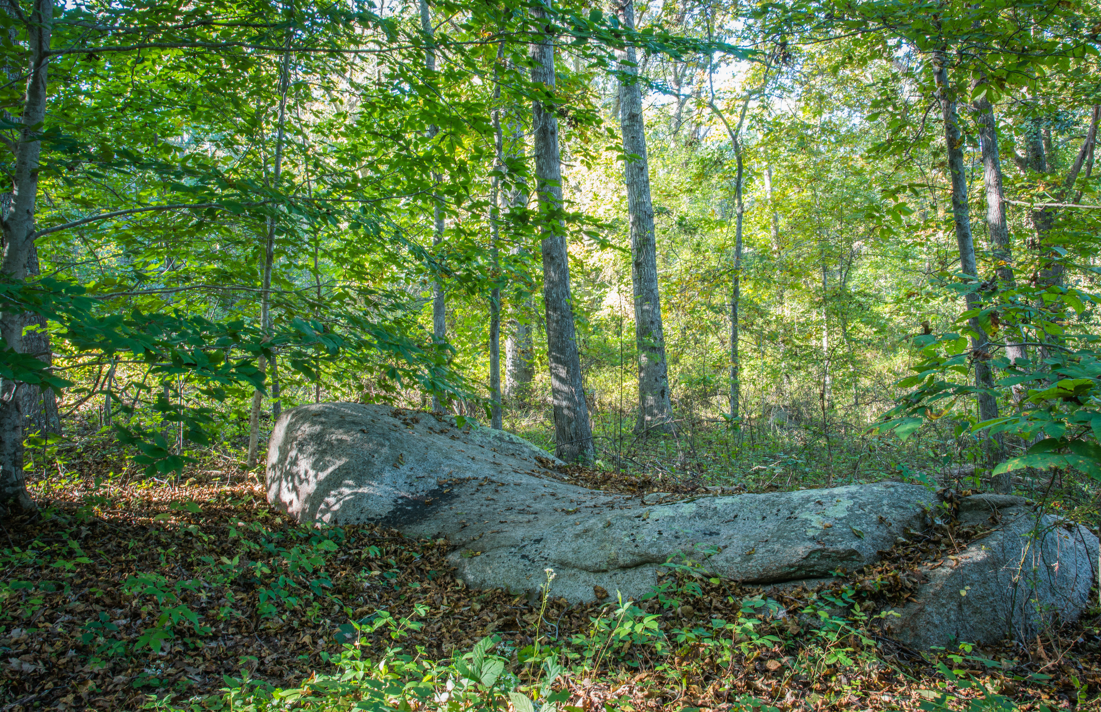 “Saddle Rock” boulder