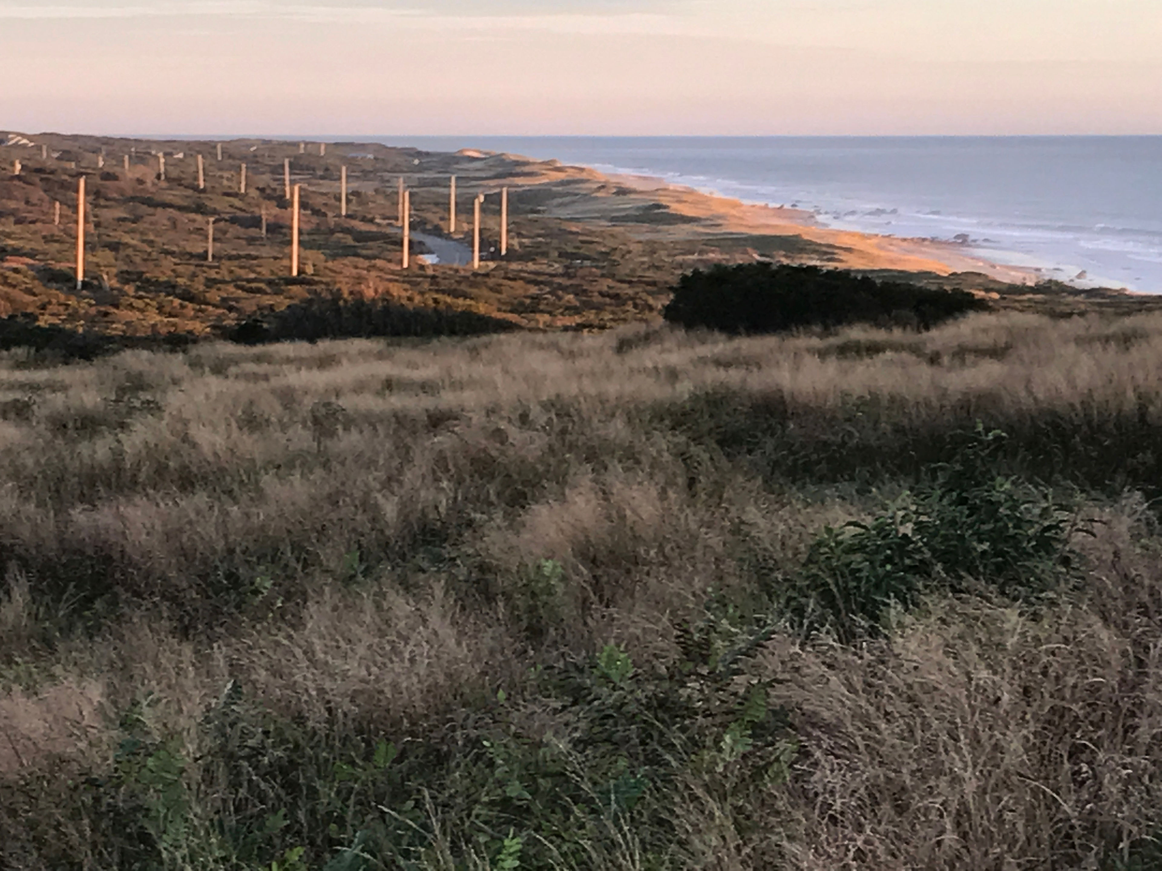 view down the beach