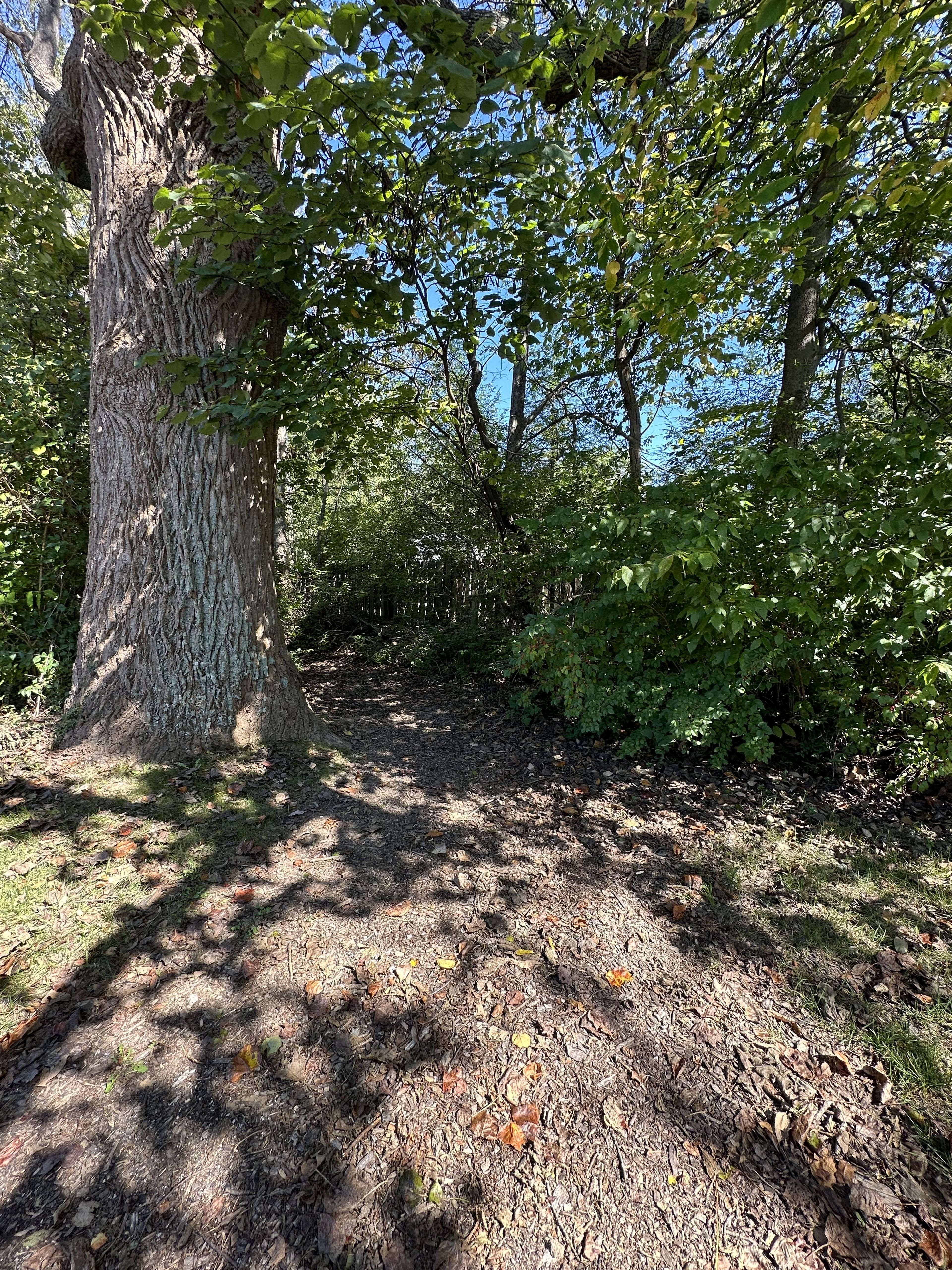 Meadowwood Trailhead