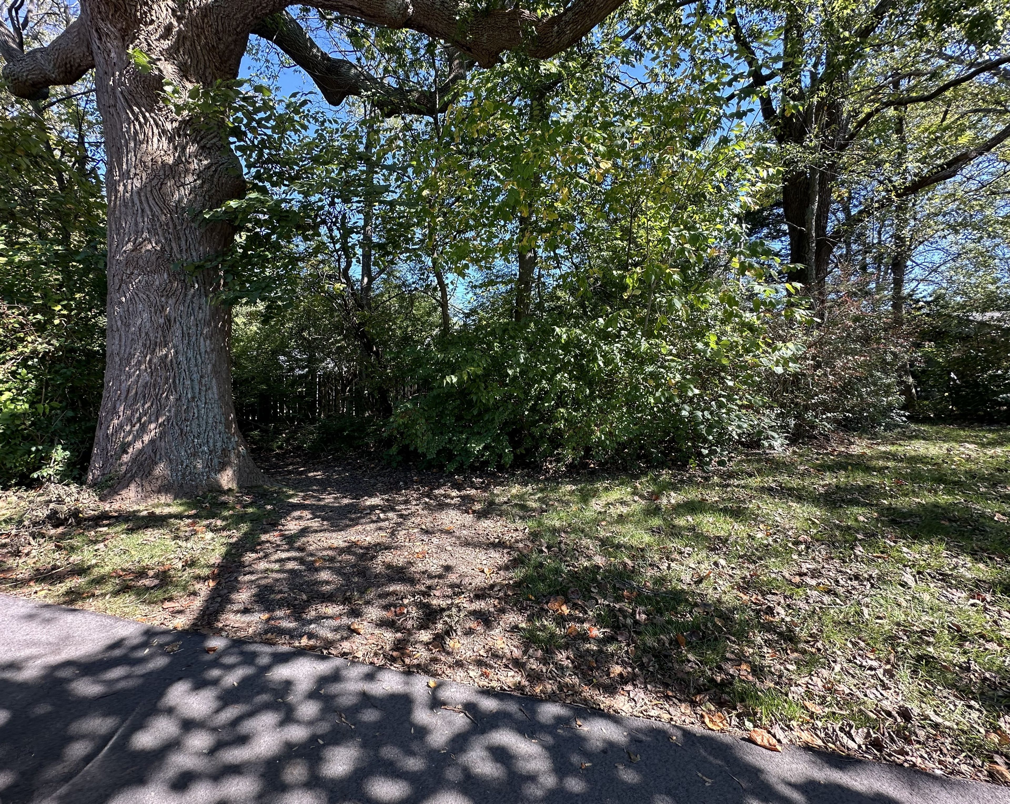 Meadowwood Trailhead