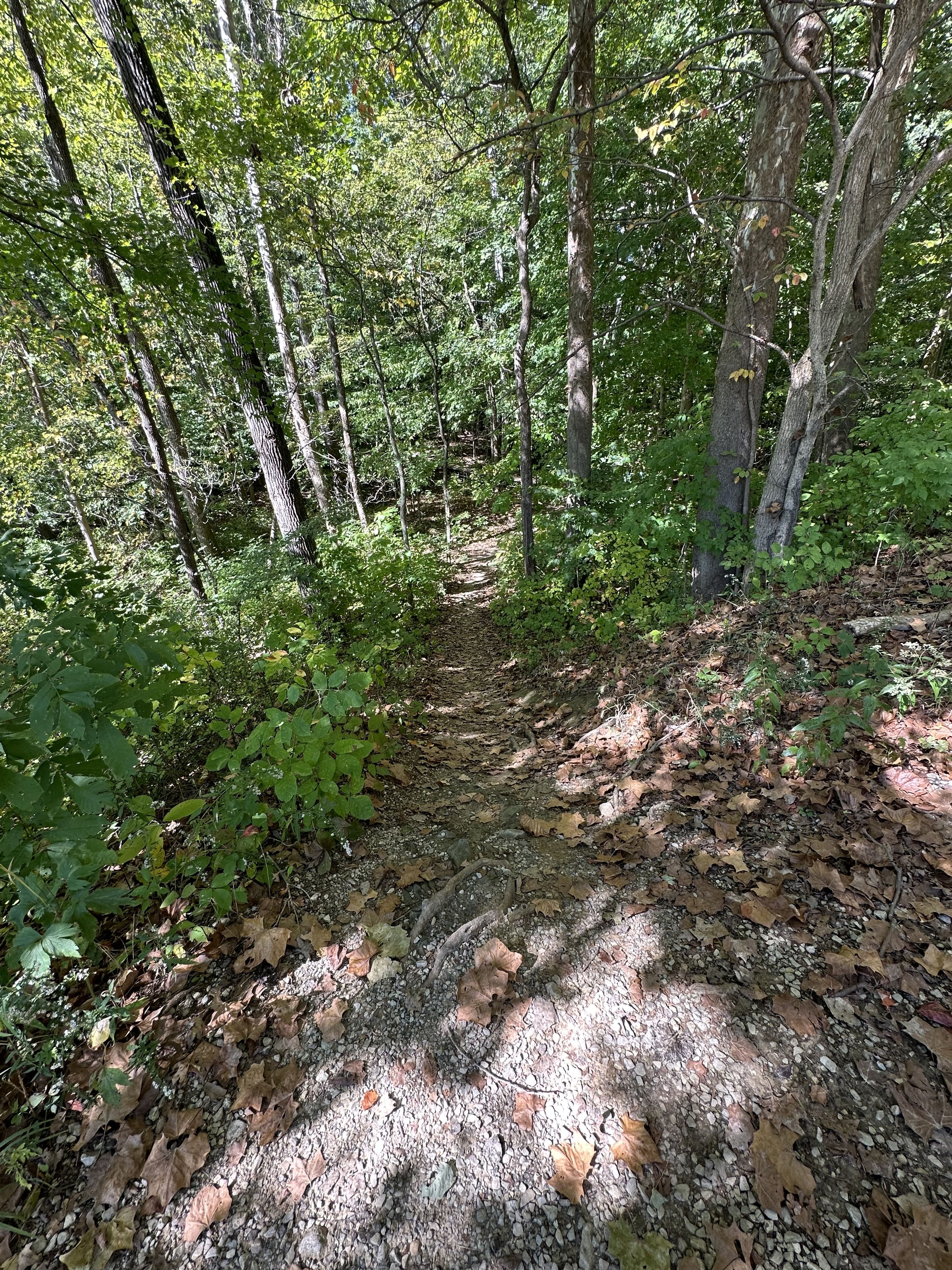 East North Shore Loop Trail Trailhead