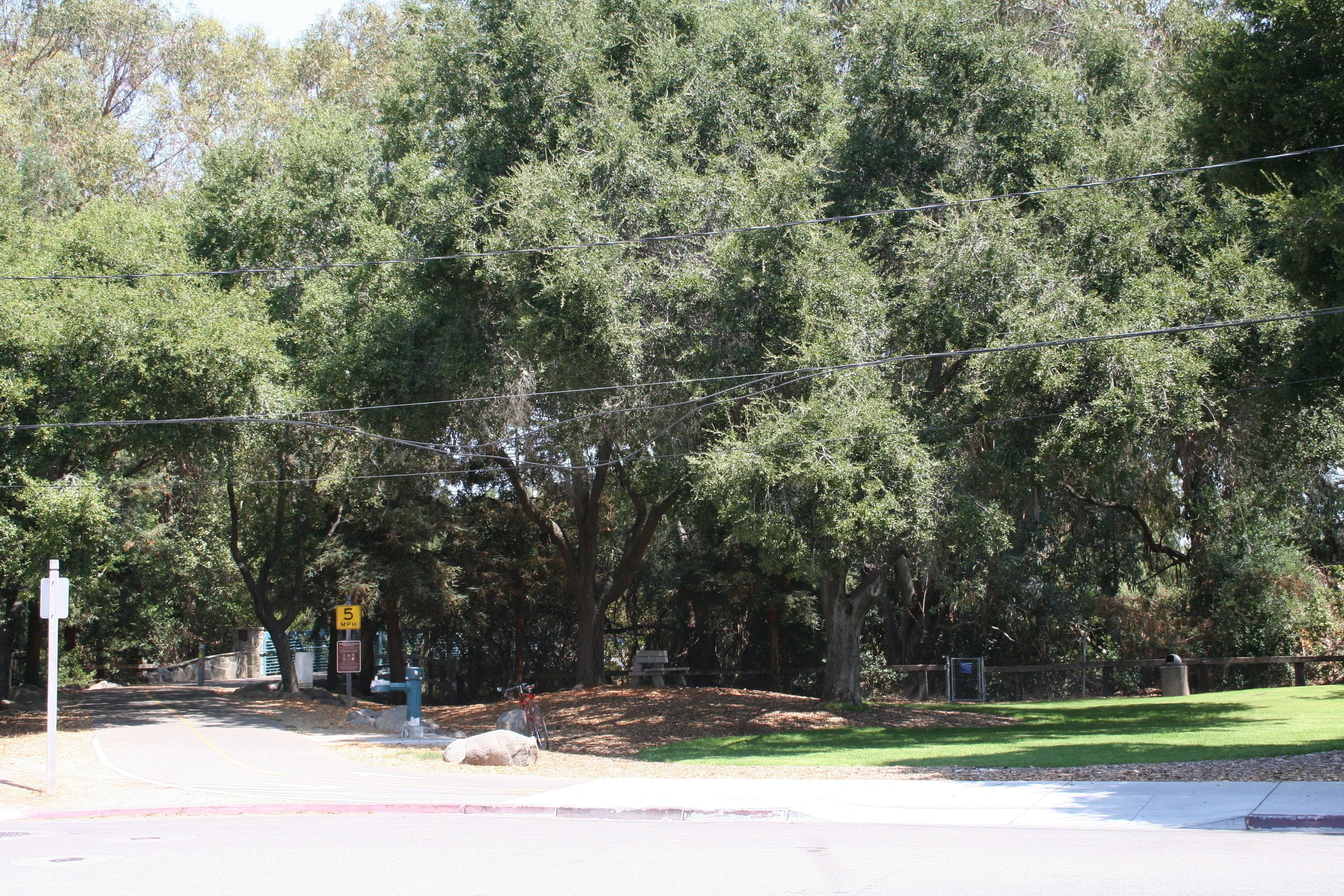 Sleeper Ave Trailhead as seen when approaching on Sleeper Ave, with Sleeper Park to the right.