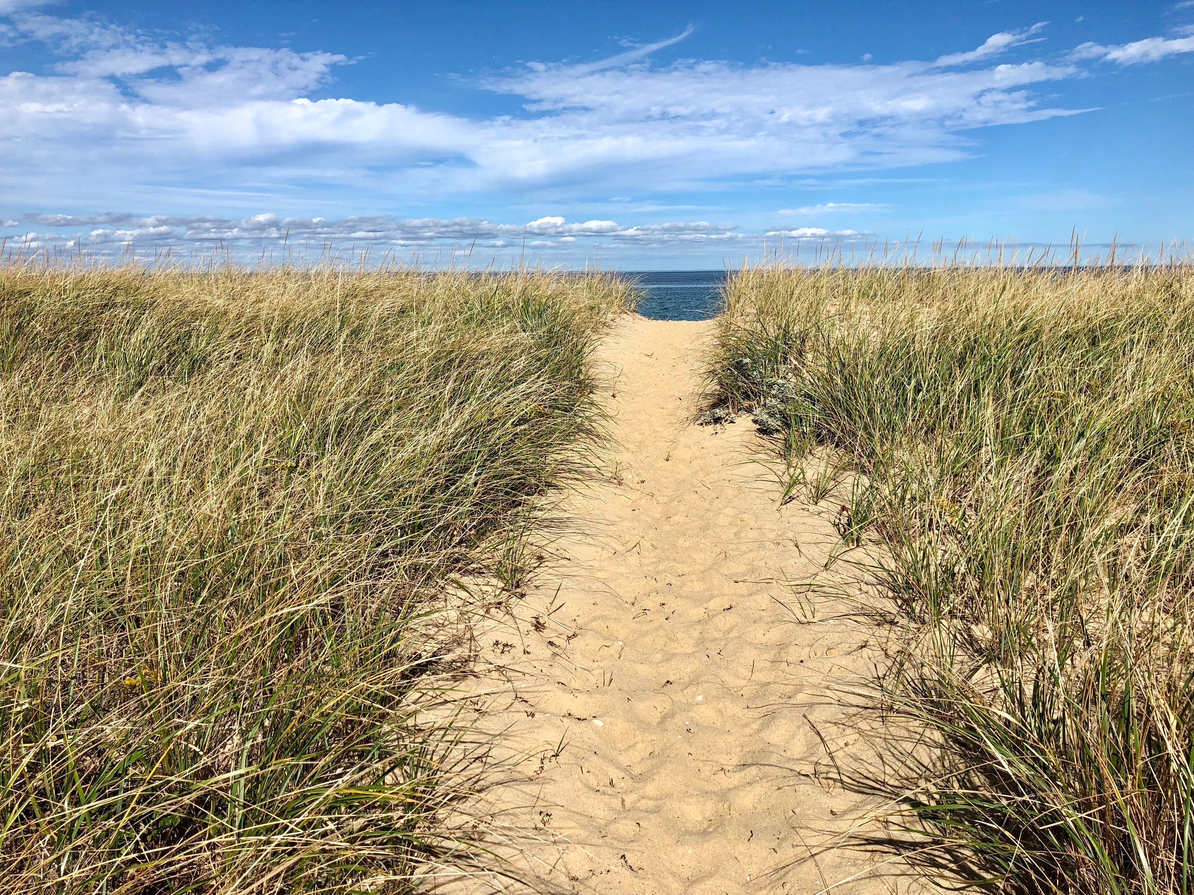 beach path