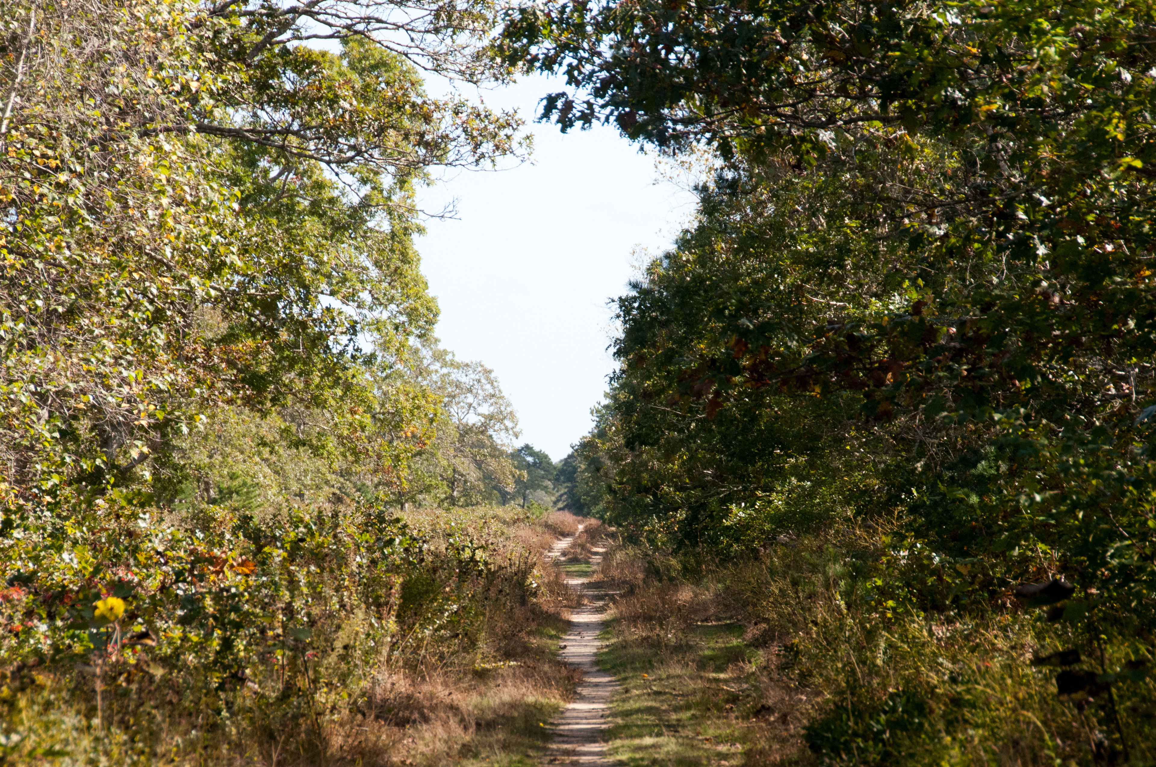 Off-road path