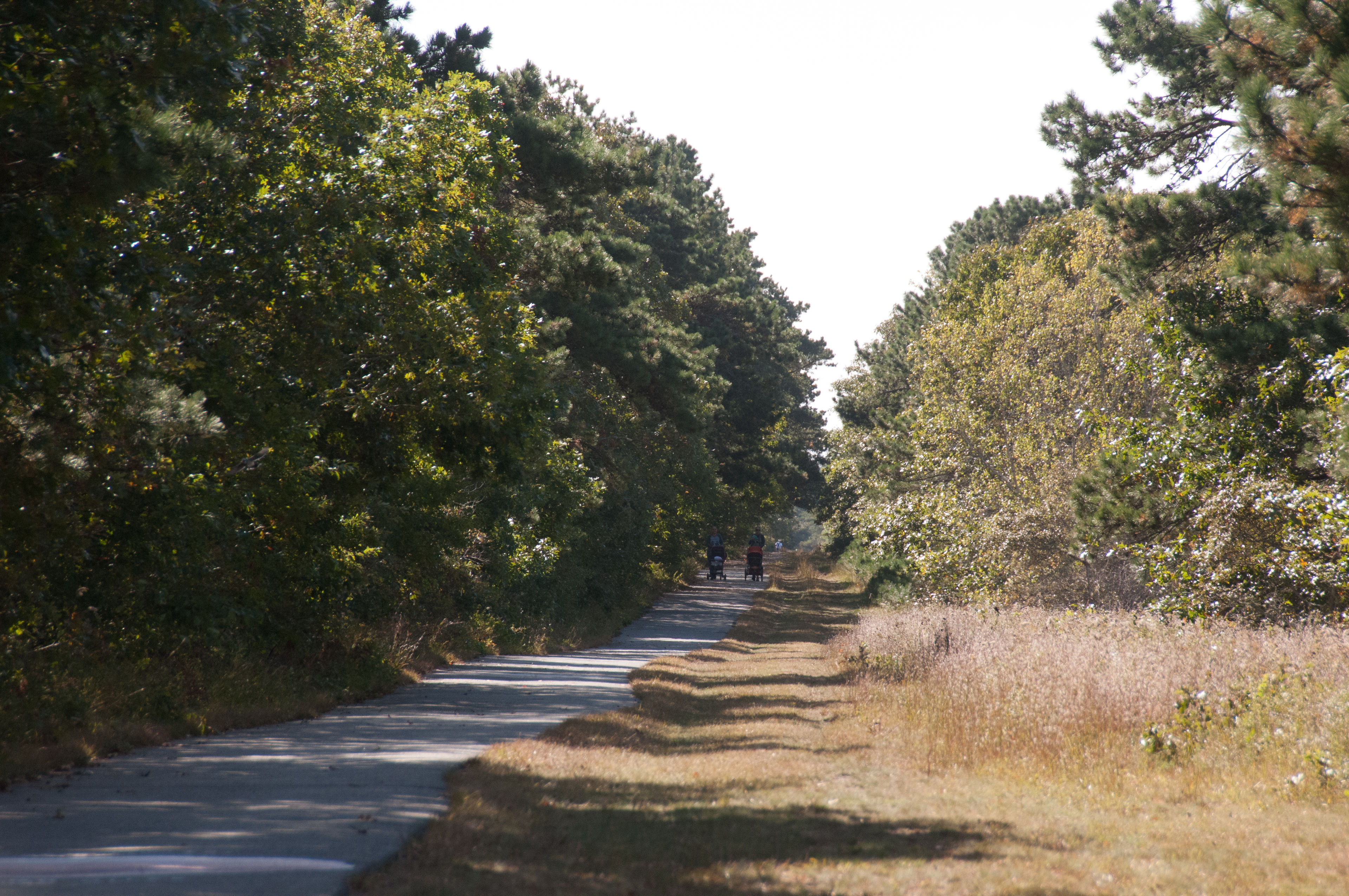 bike path