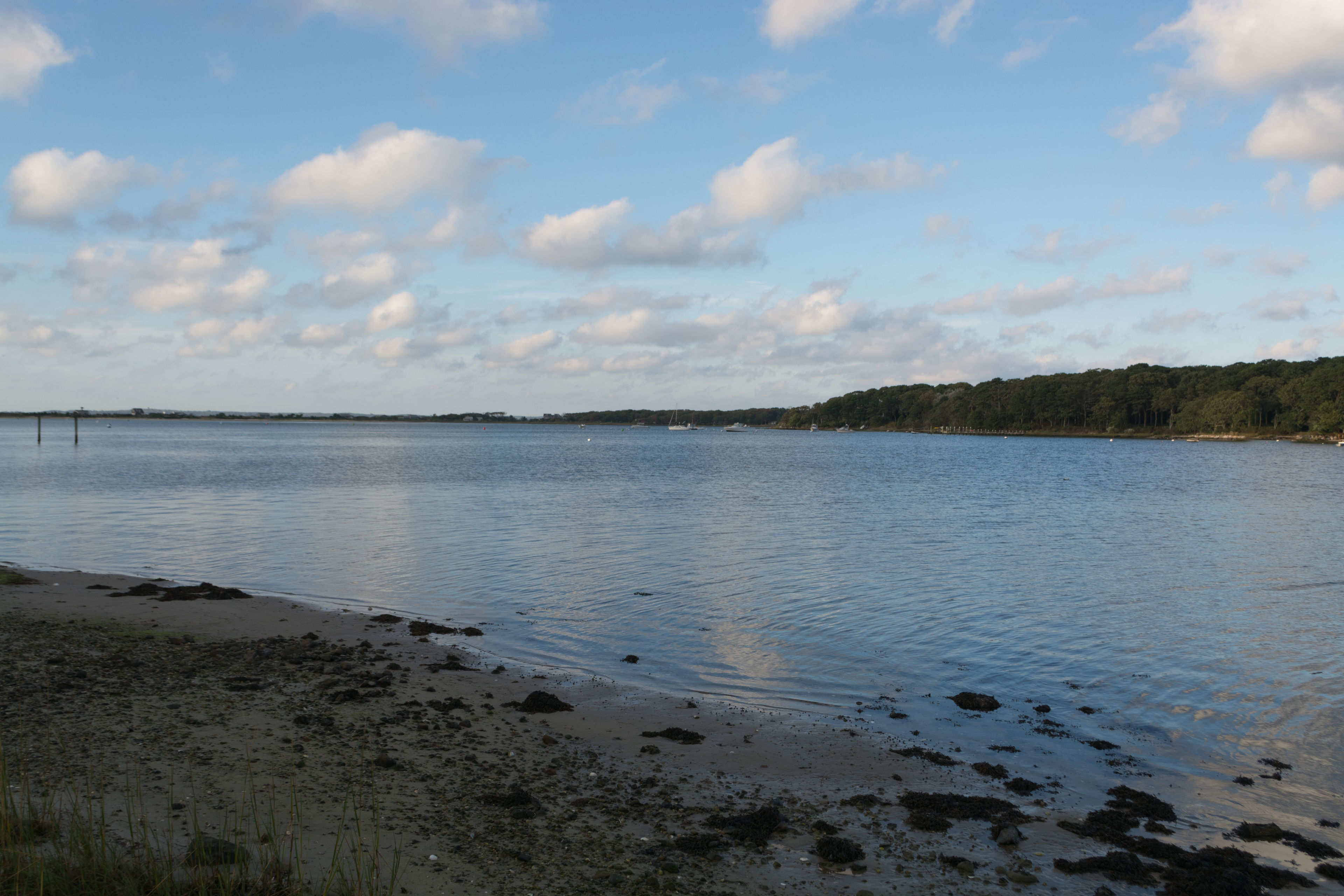 view from shore