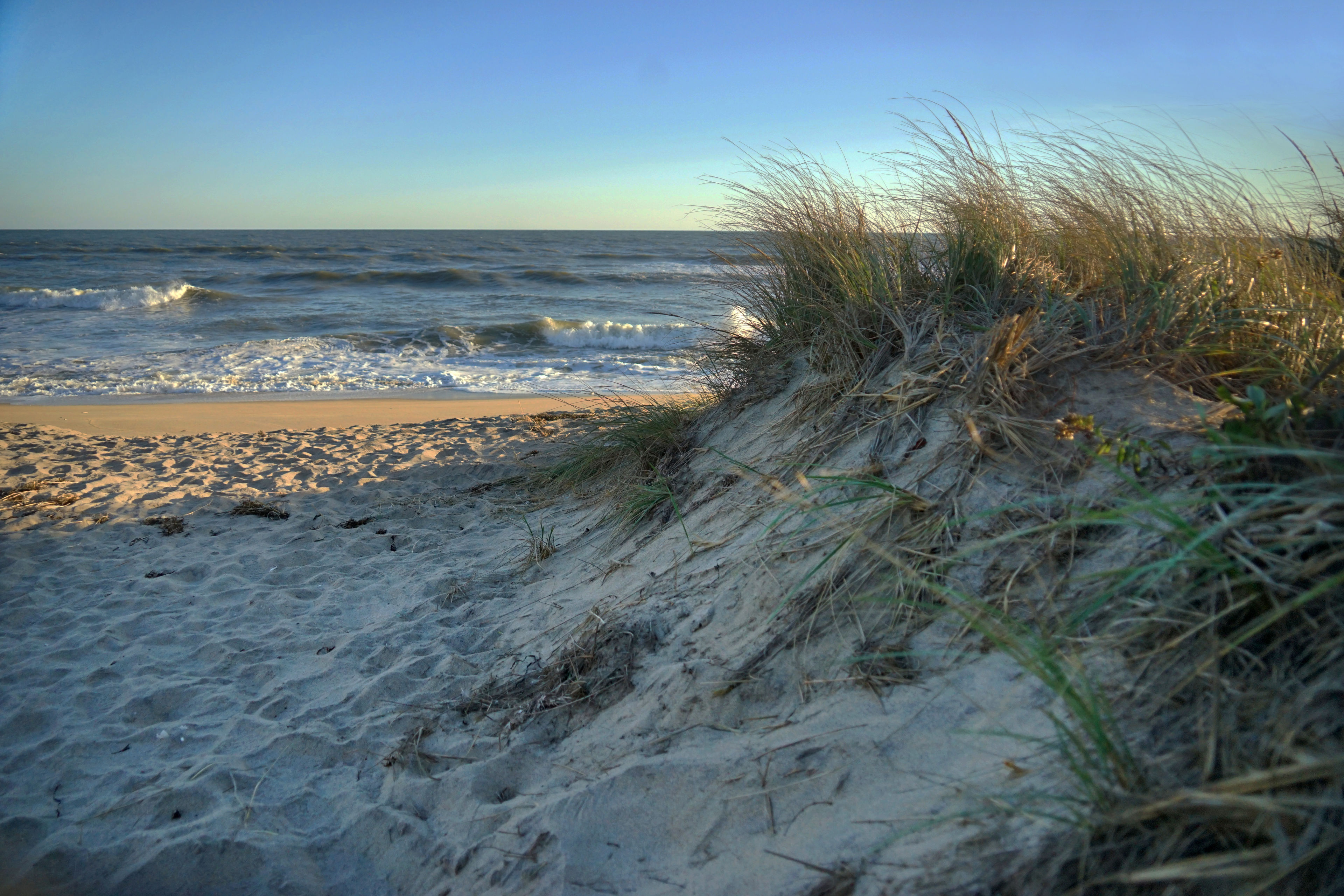 beach