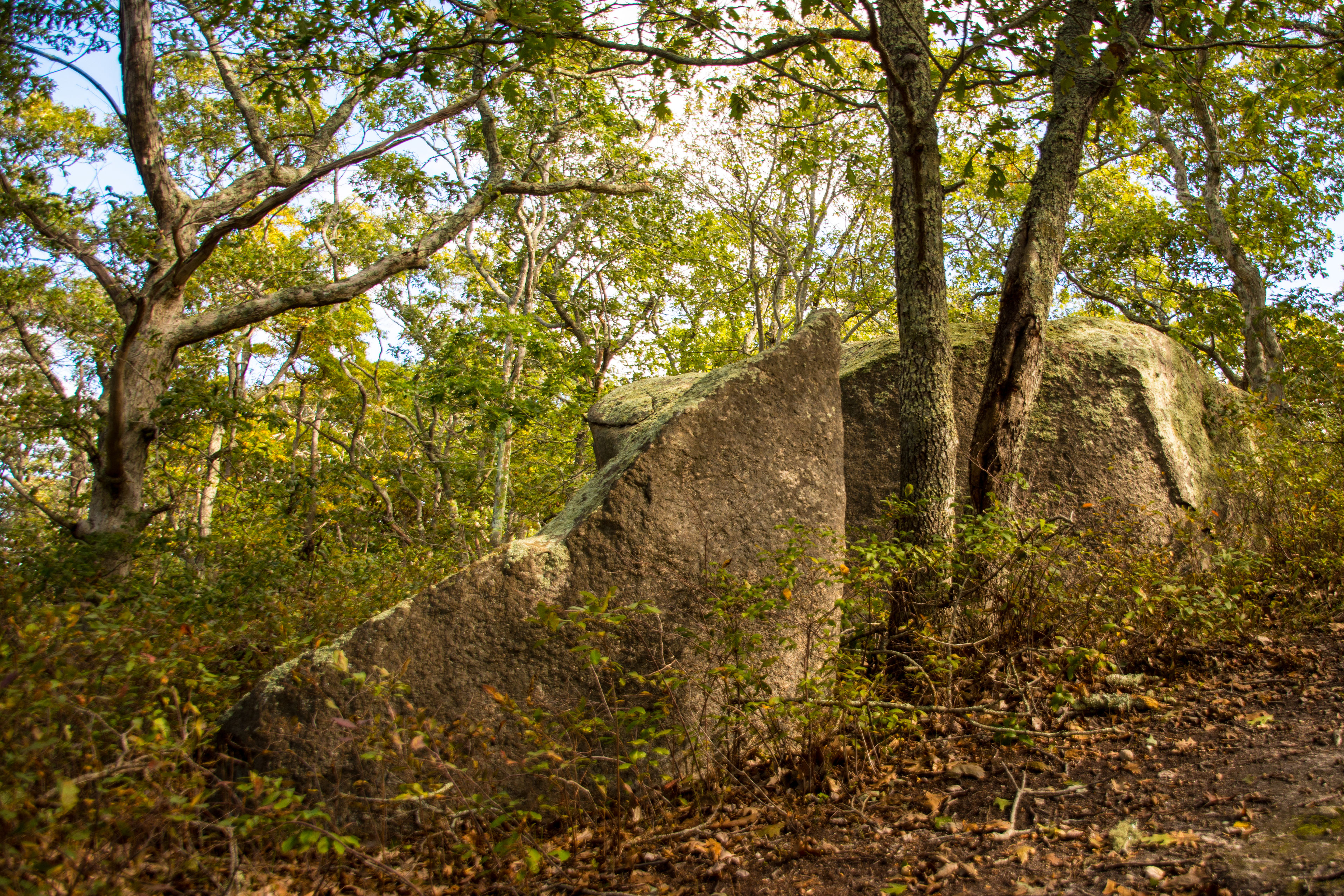 Erratics