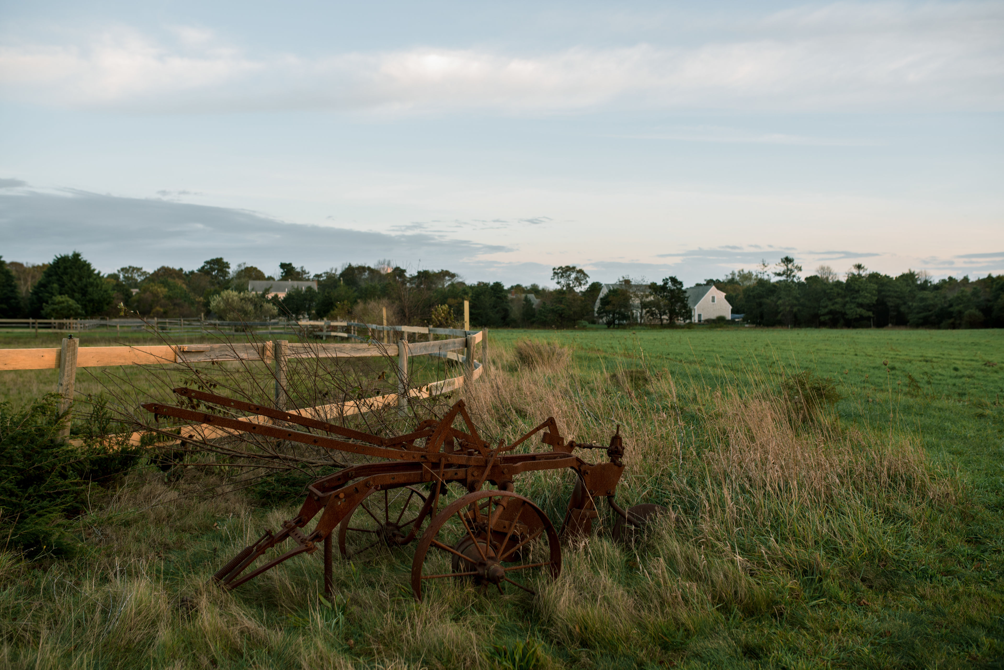 farm view