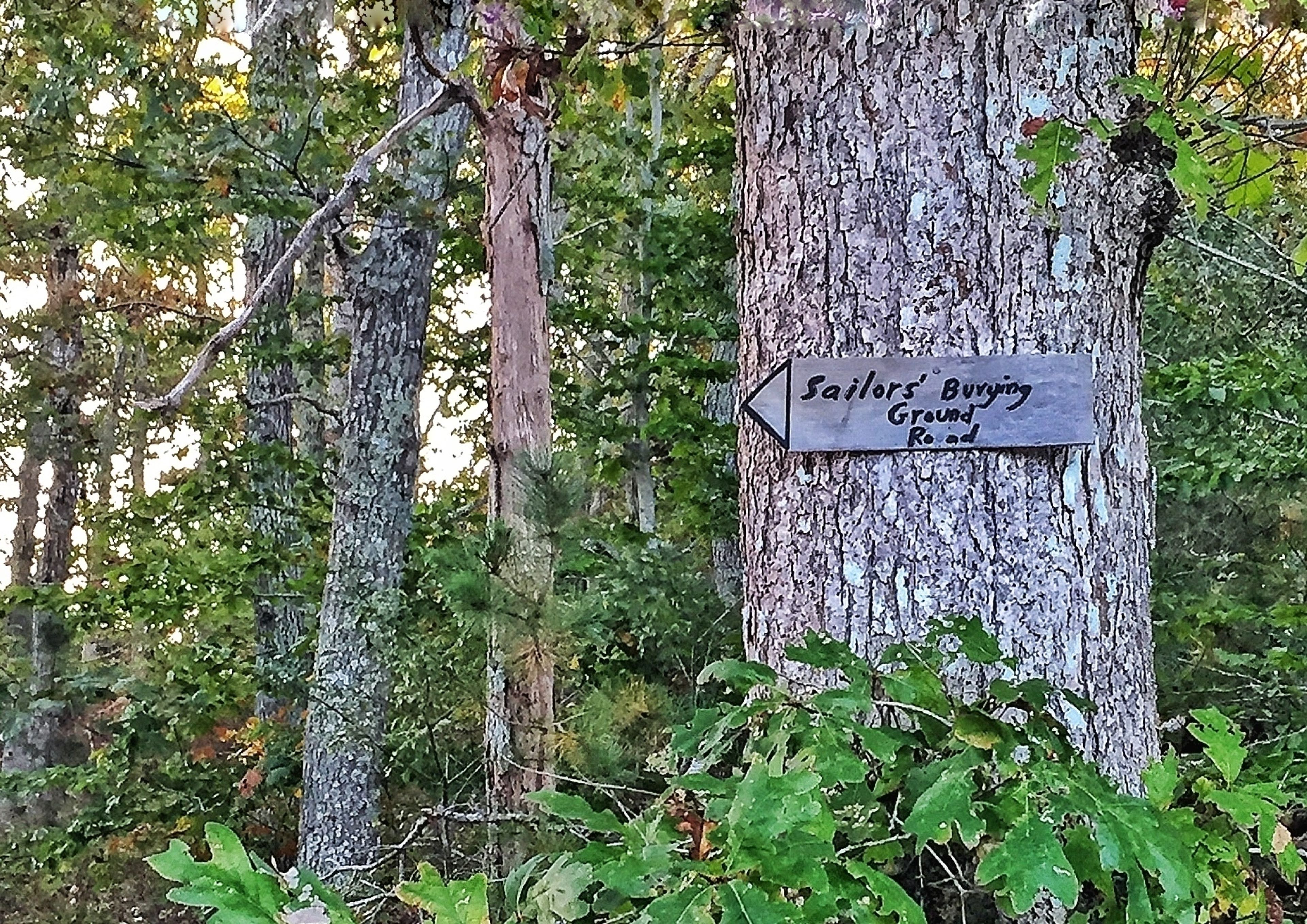 sign if from Canterbury Lane