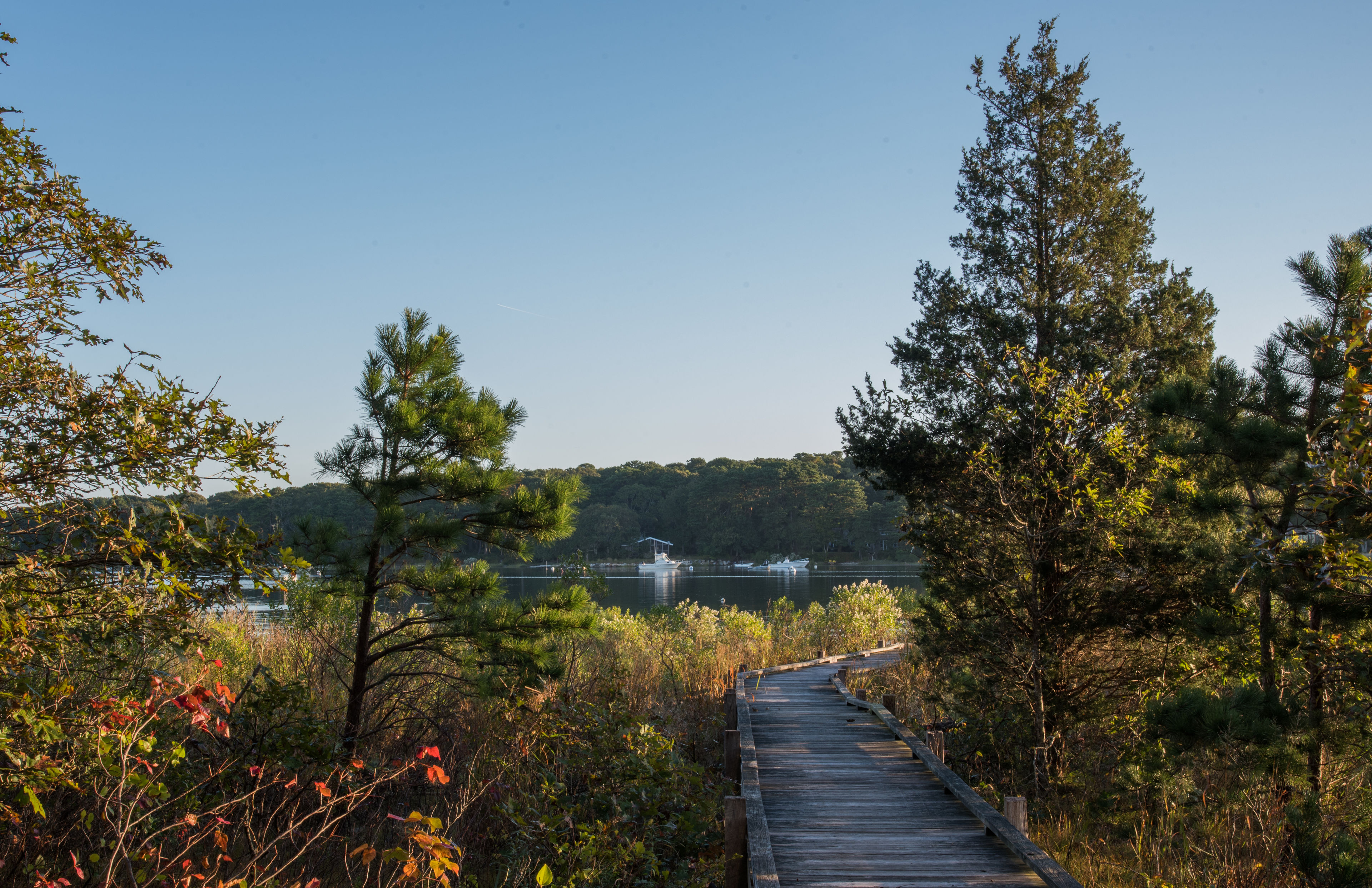 Boardwalk to Tashmoo