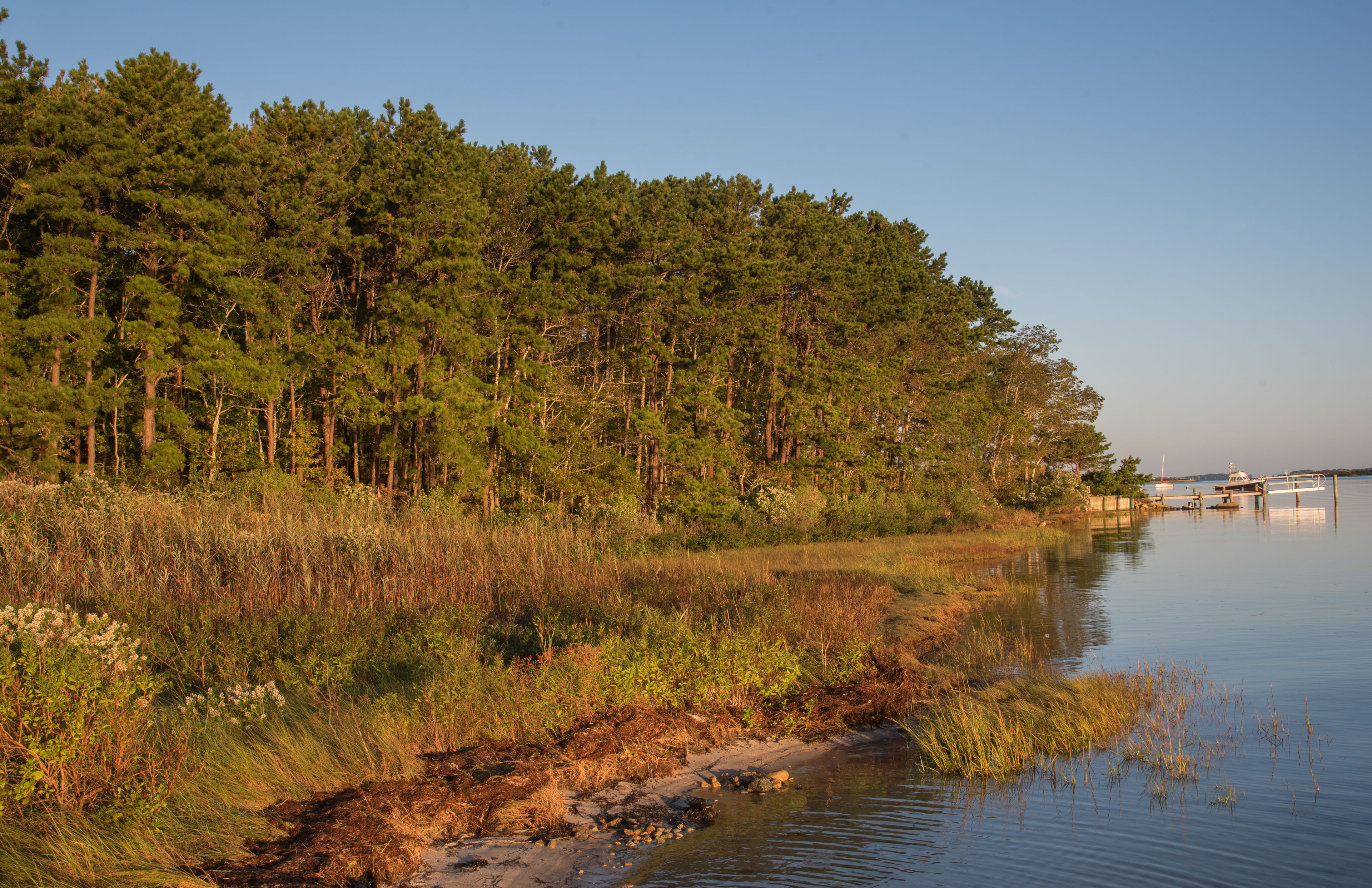 autumn shore view