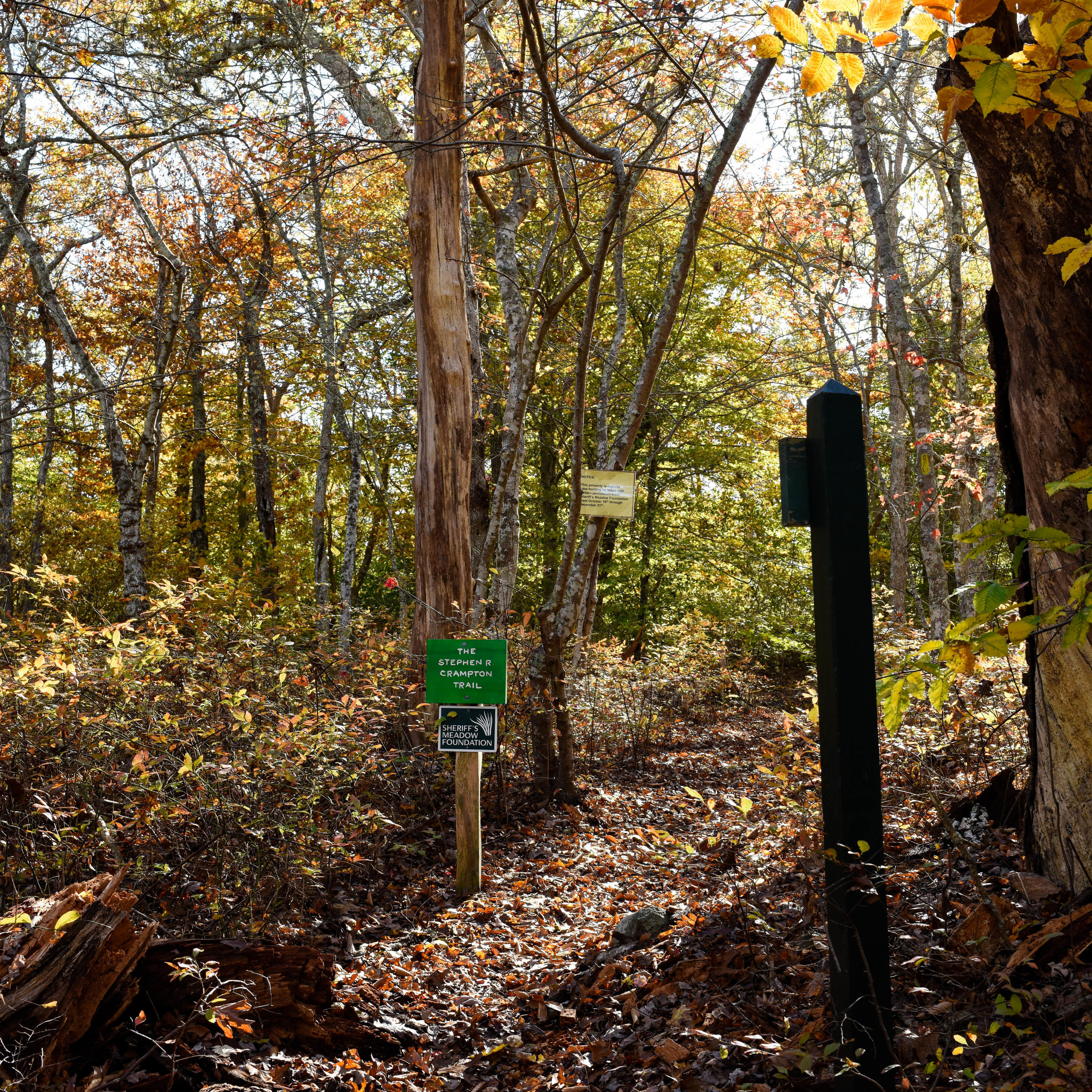 Stephen Crampton trail off South Road