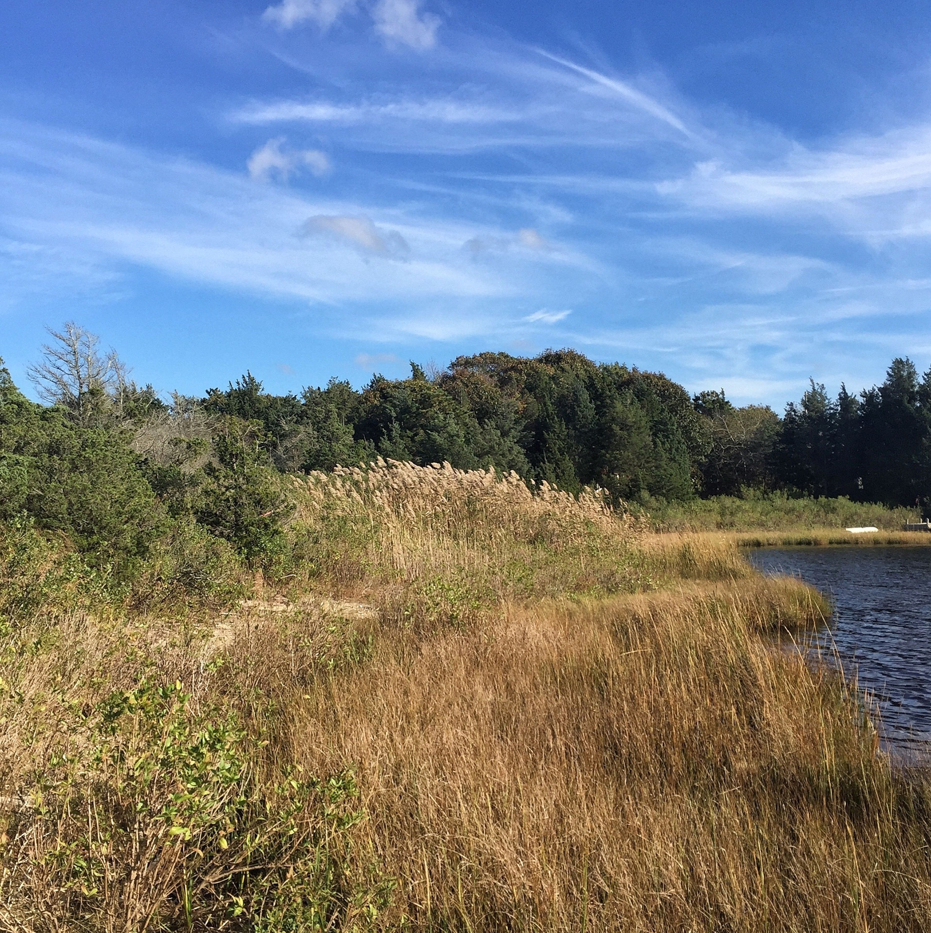 edge of Lagoon