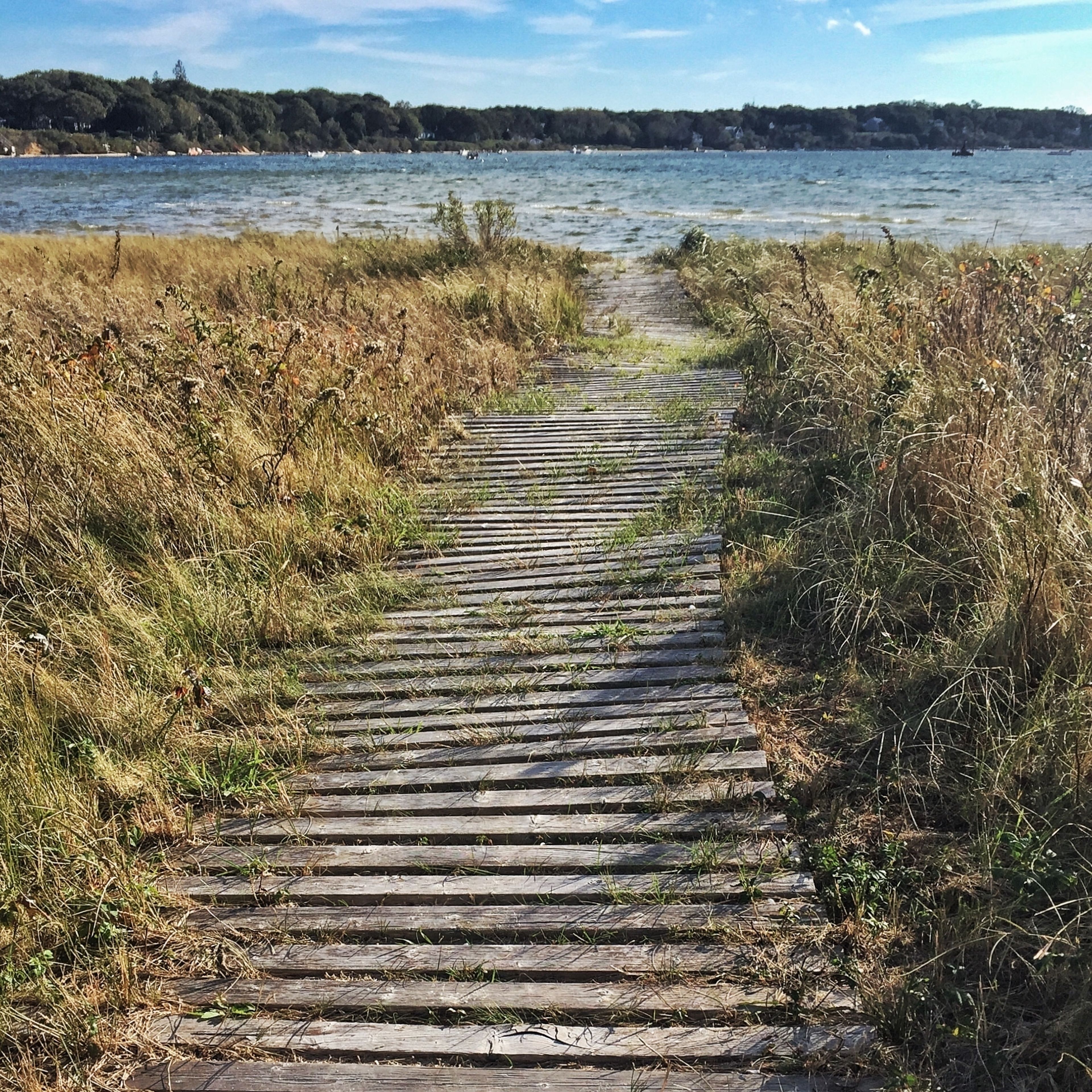 boardwalk