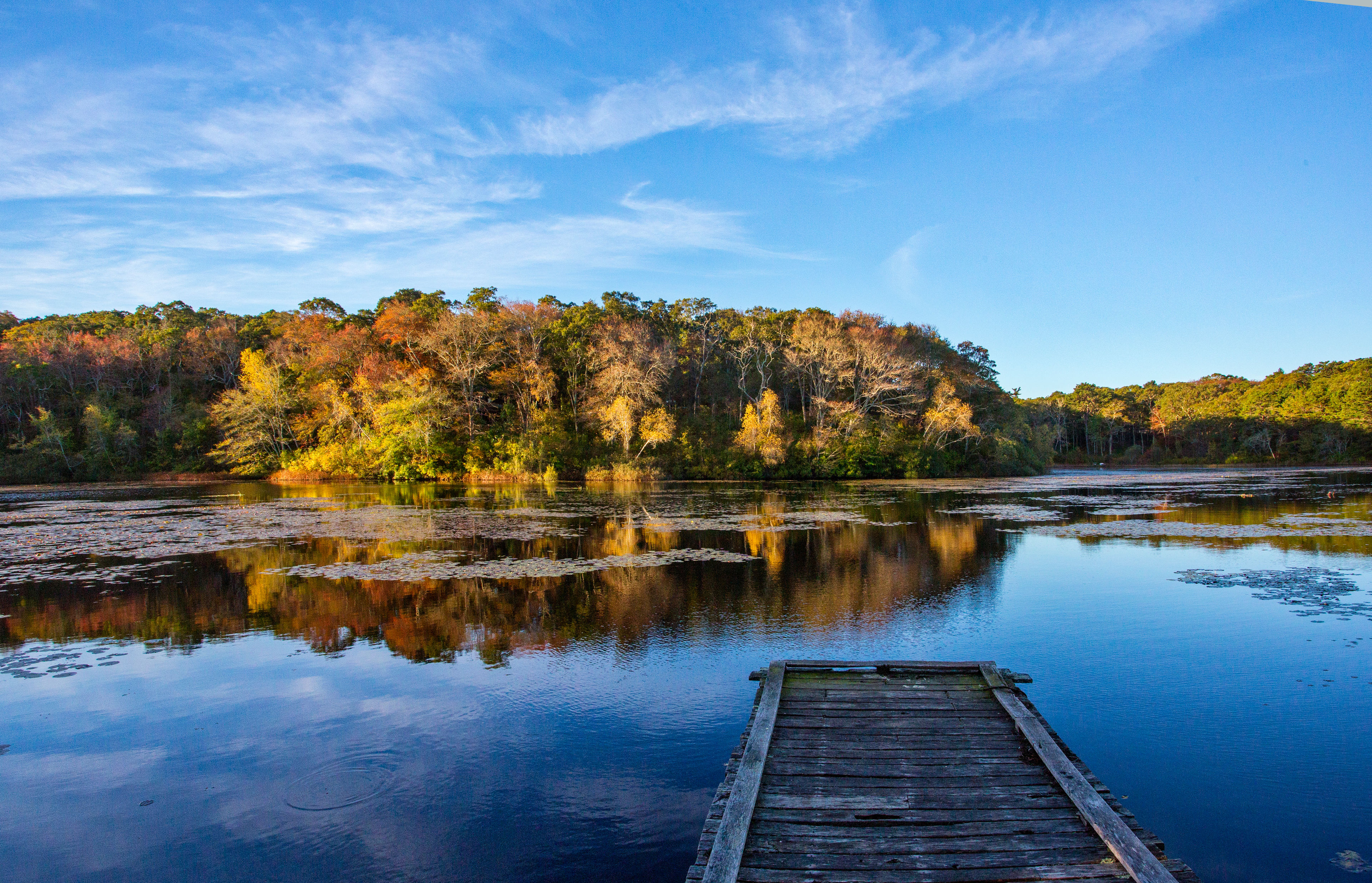 Dock out onto Blackwater Pond