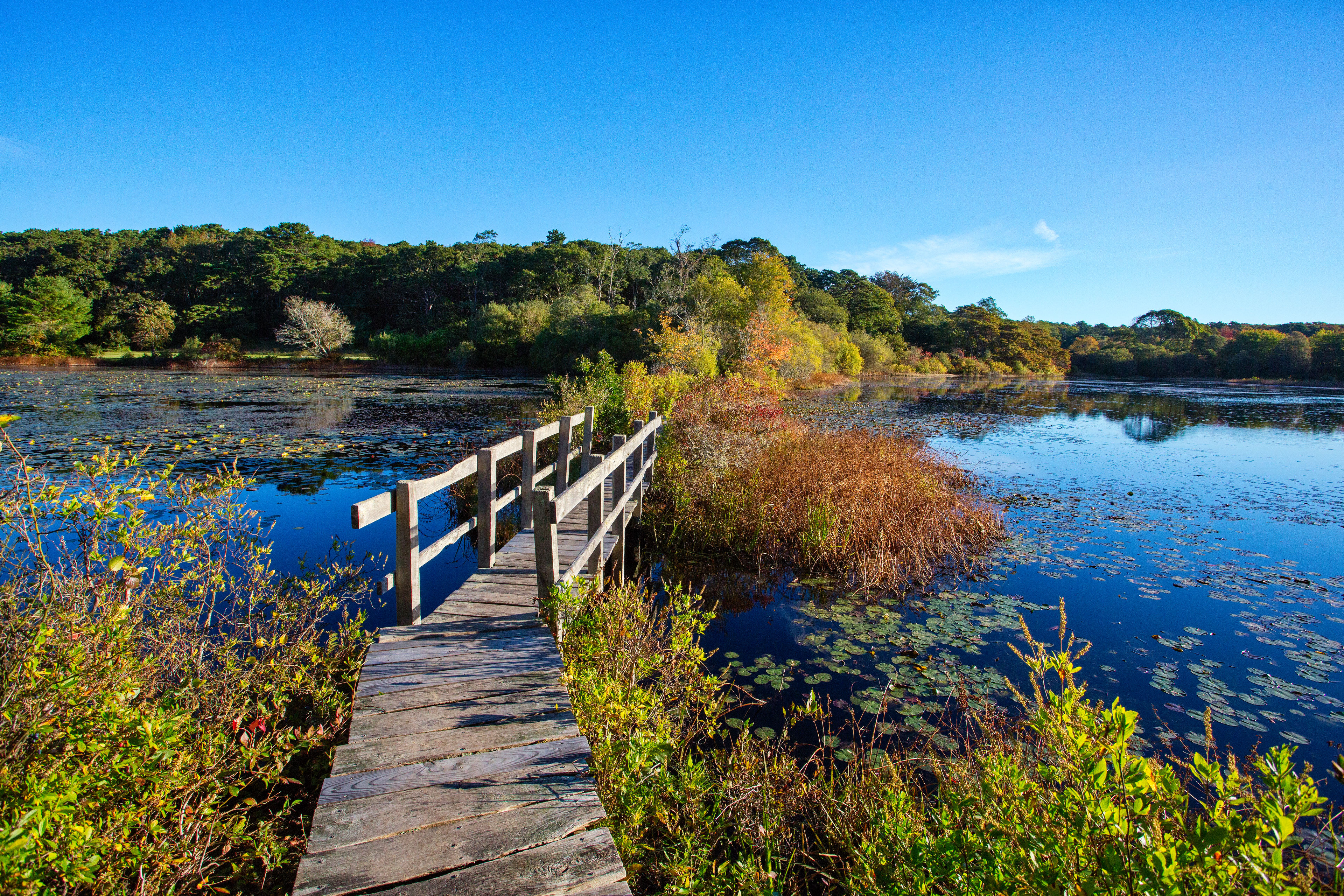 bridge across Duarte's Pond