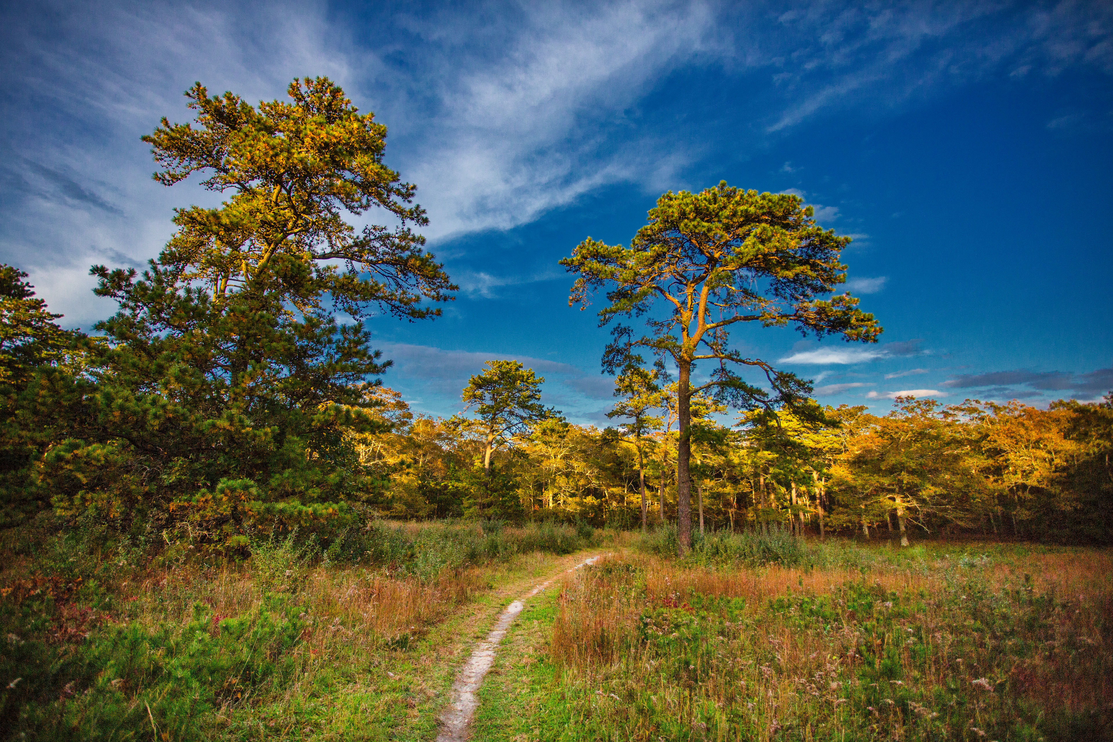 field trail